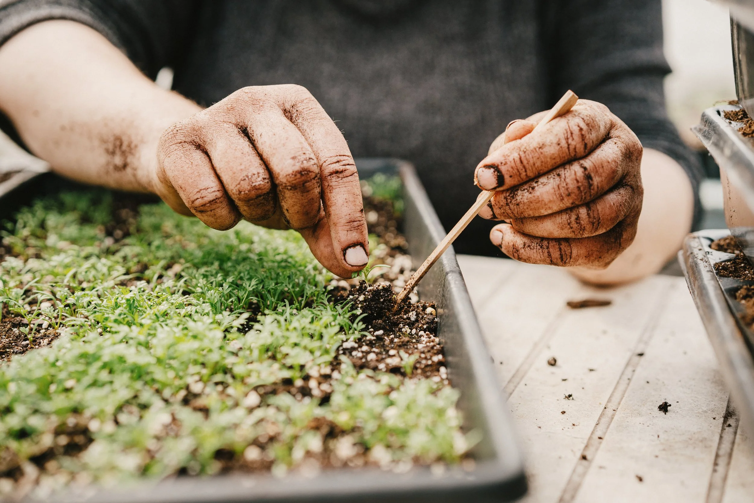 250505_APFCQ (819).jpg