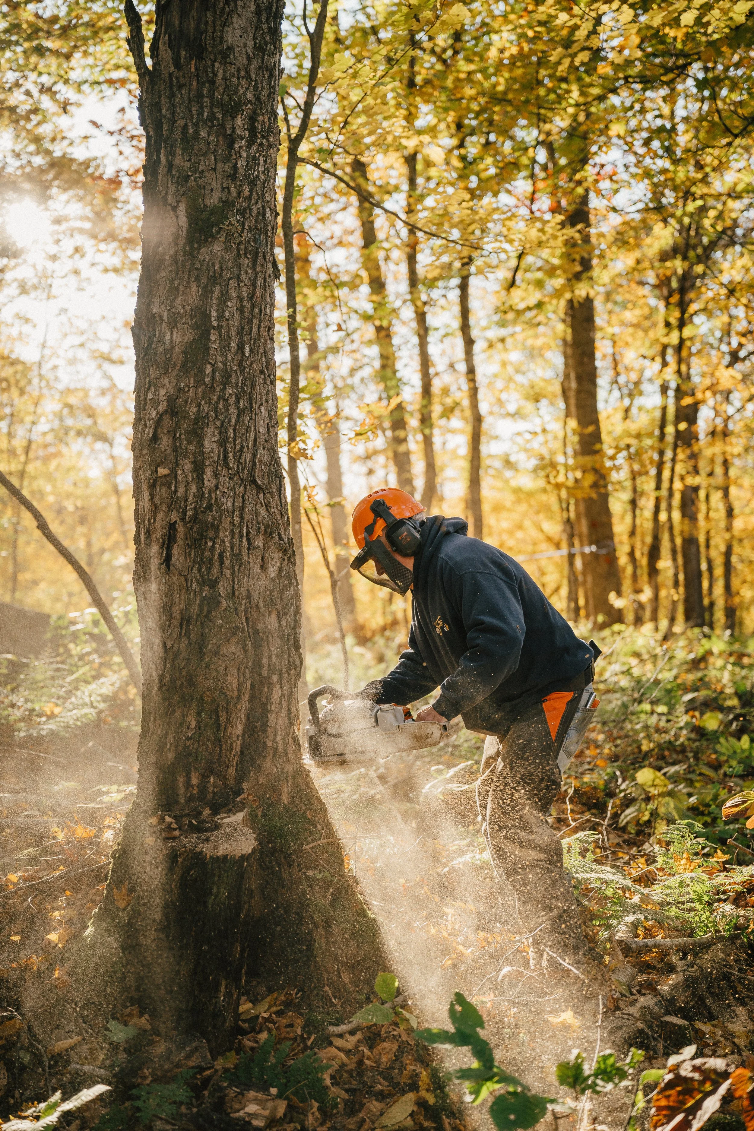 PPAQ_250930 (907).jpg