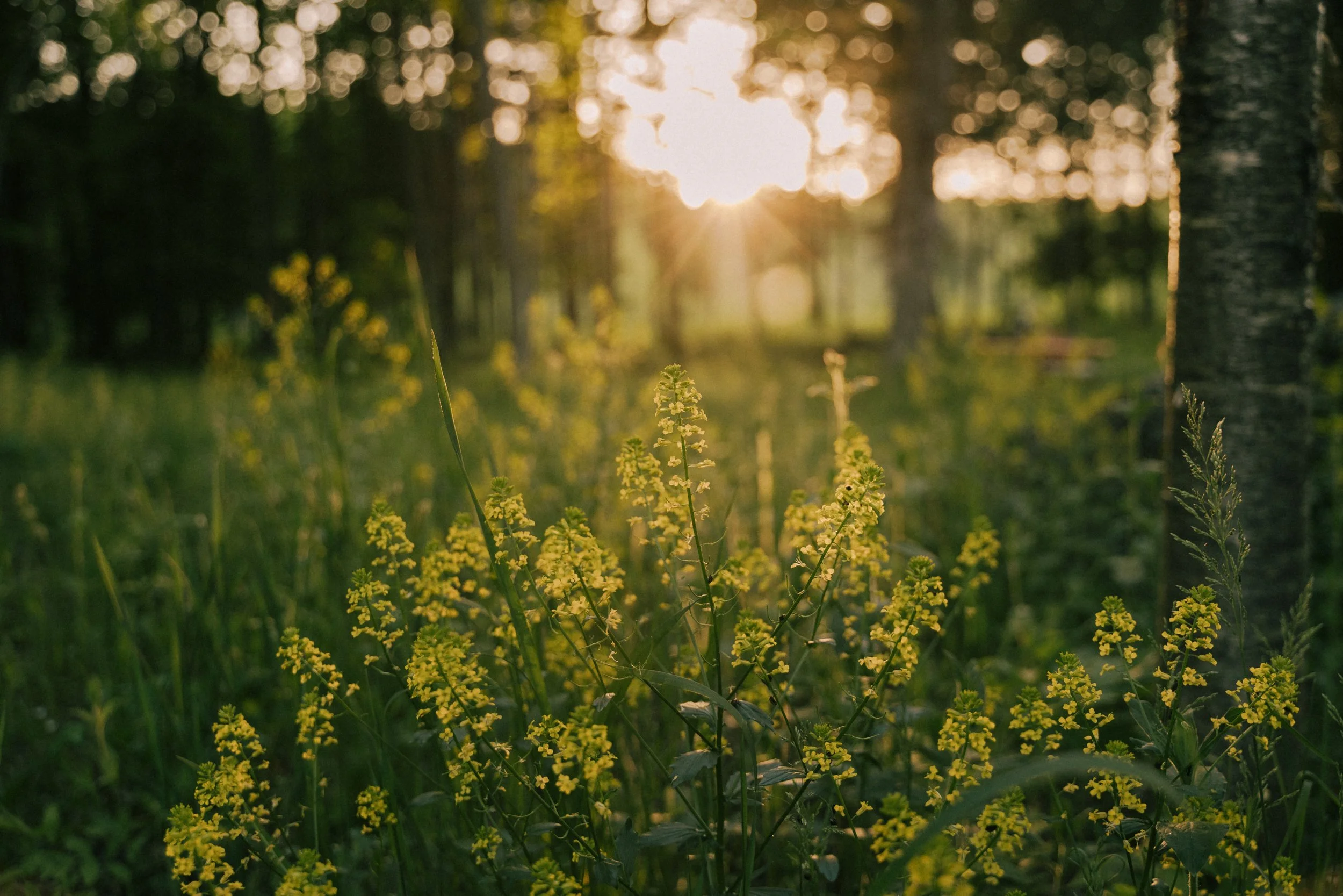 240520_GDO (384).jpg