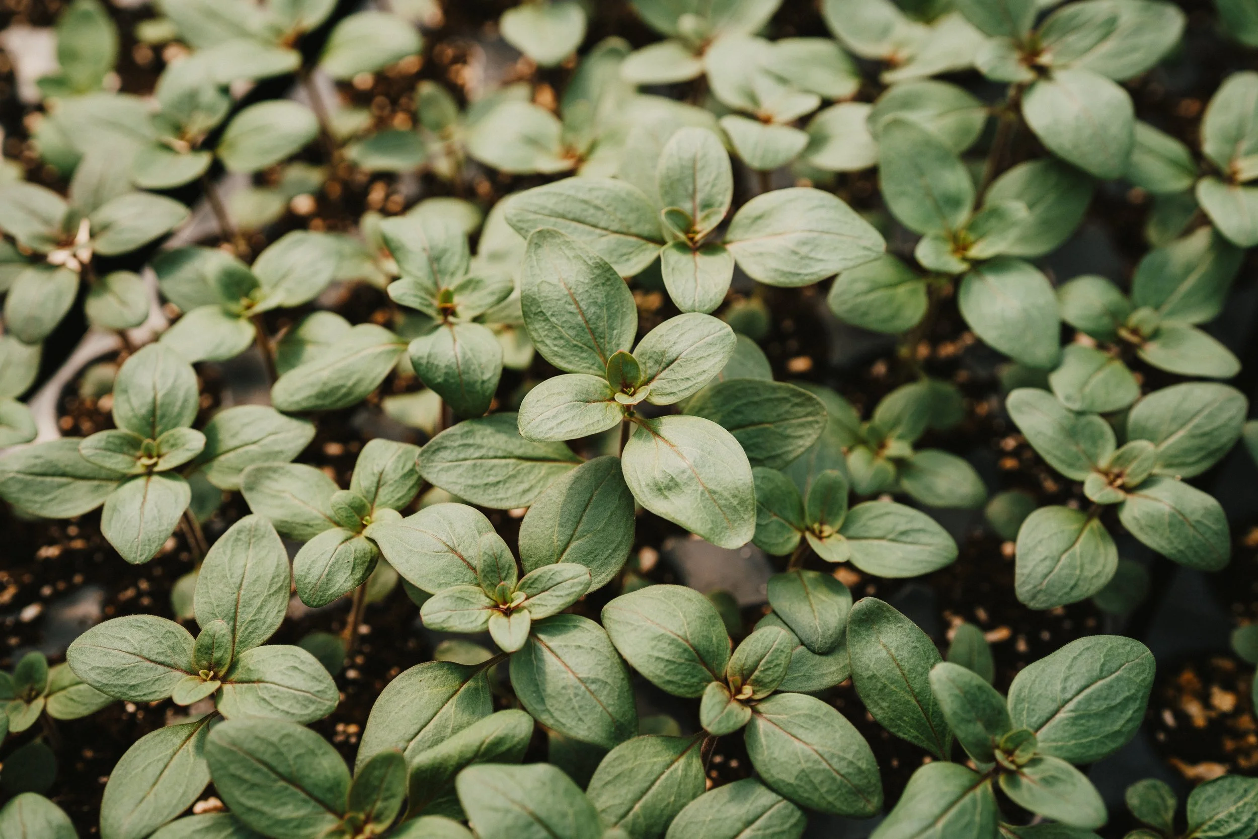 250505_APFCQ (846).jpg