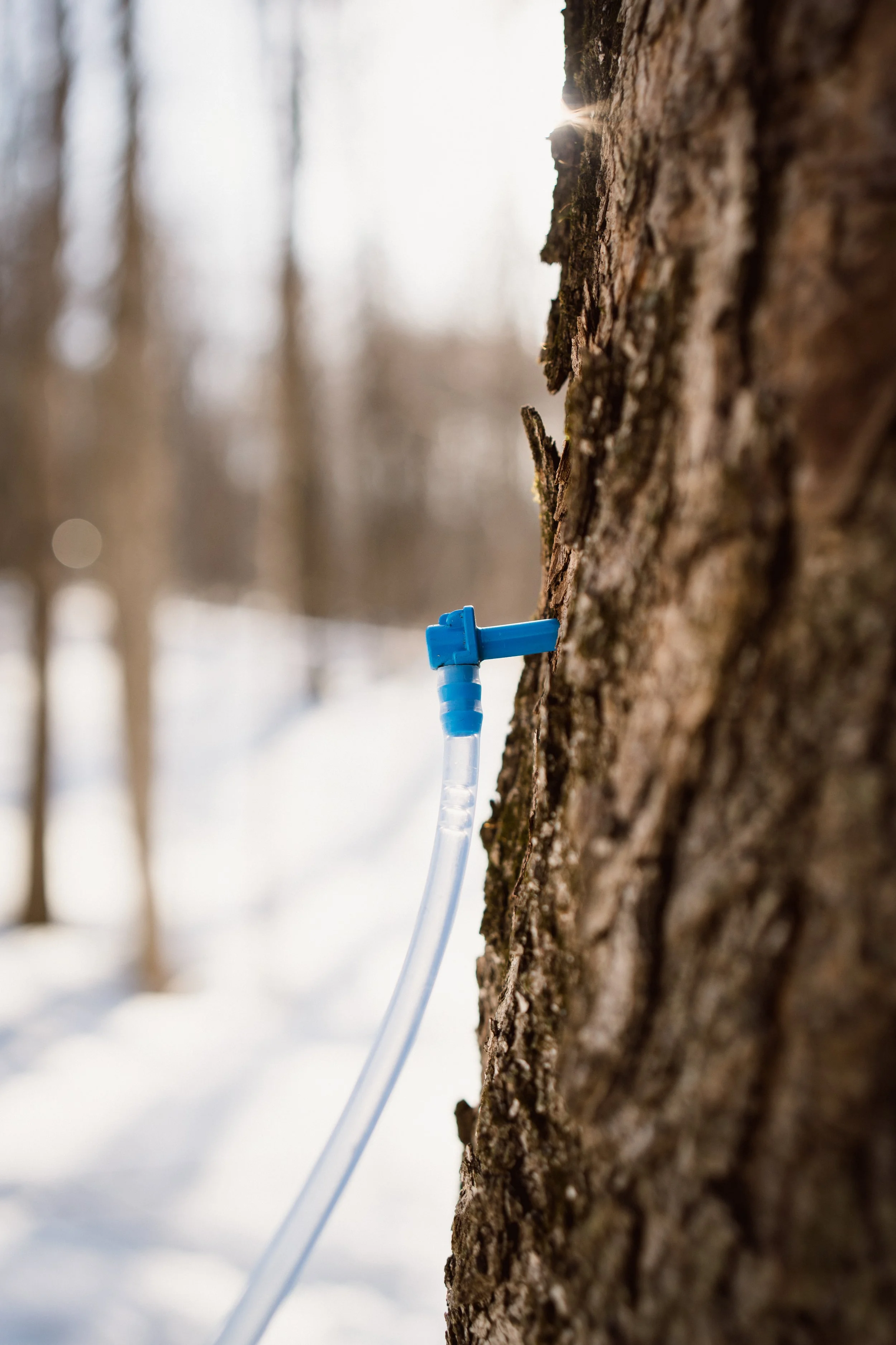 PPAQ_250314 (64).jpg