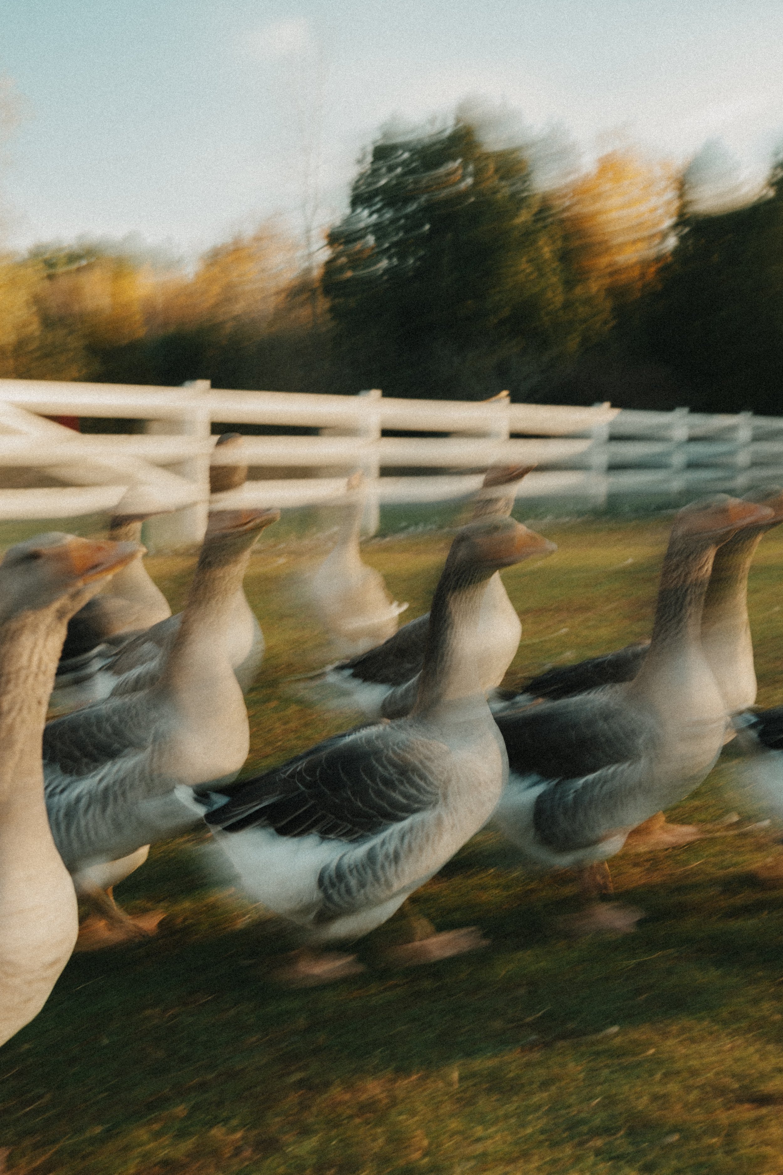 251024_GDO (1063).jpg