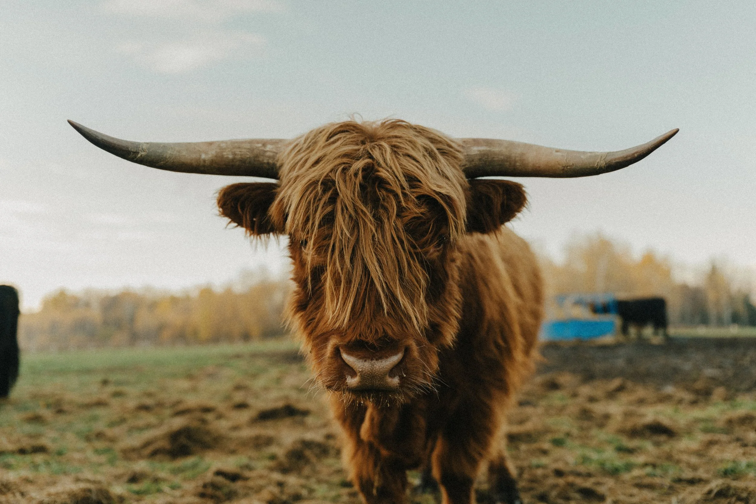 251024_GDO (445).jpg