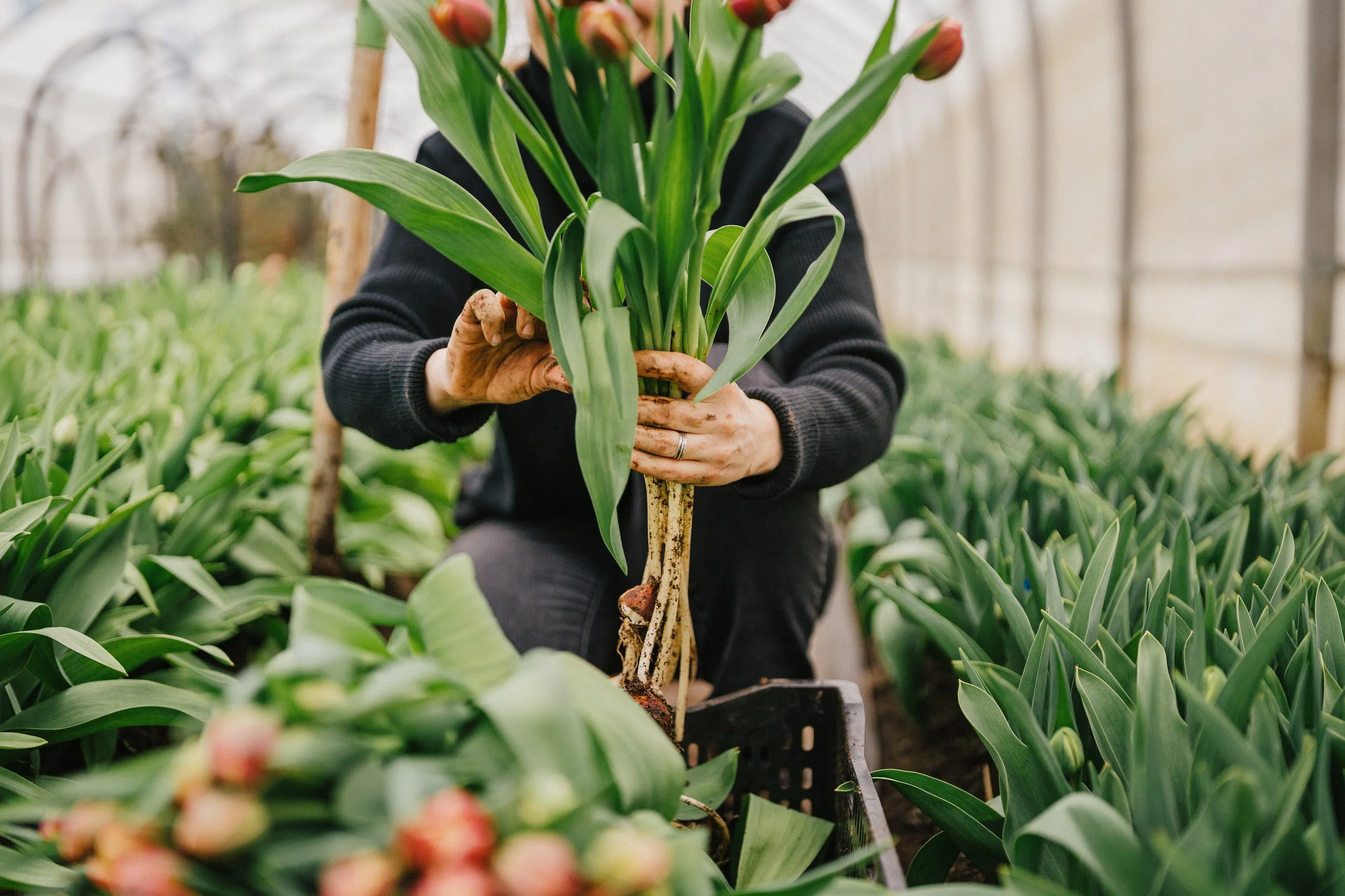 250418_Jardins ETC (447).jpg