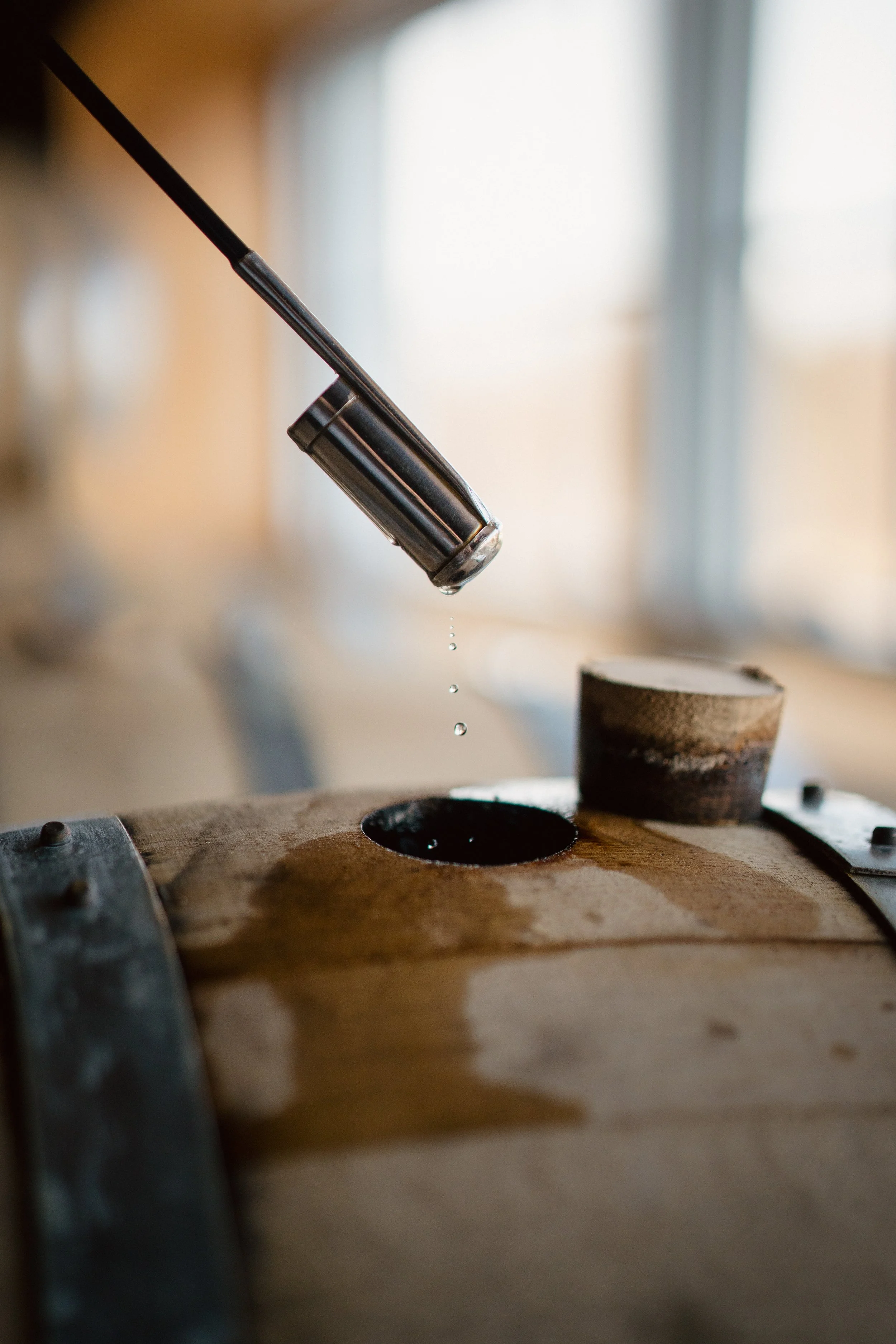 PPAQ_250314 (54).jpg