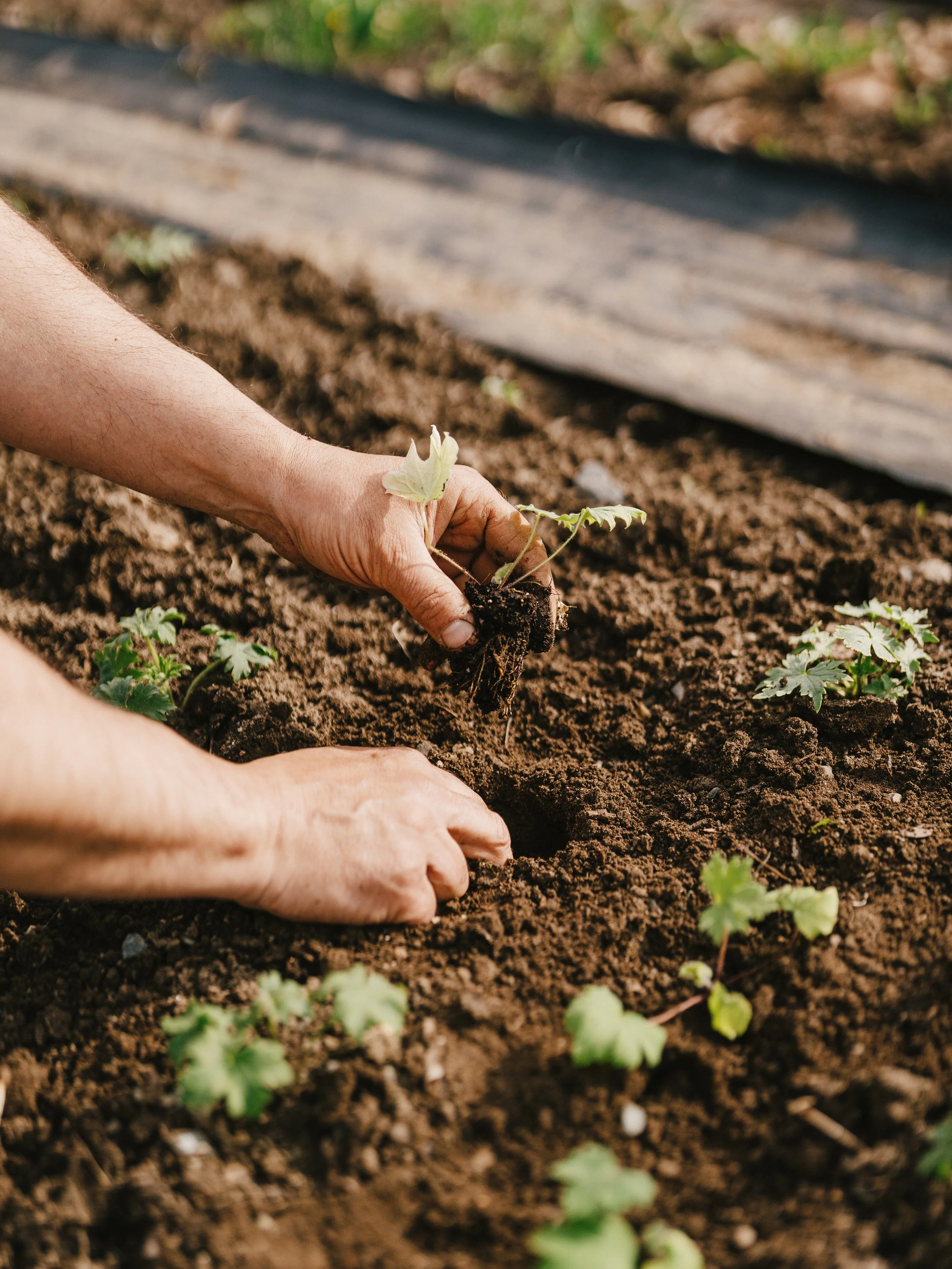 250505_APFCQ (1433).jpg