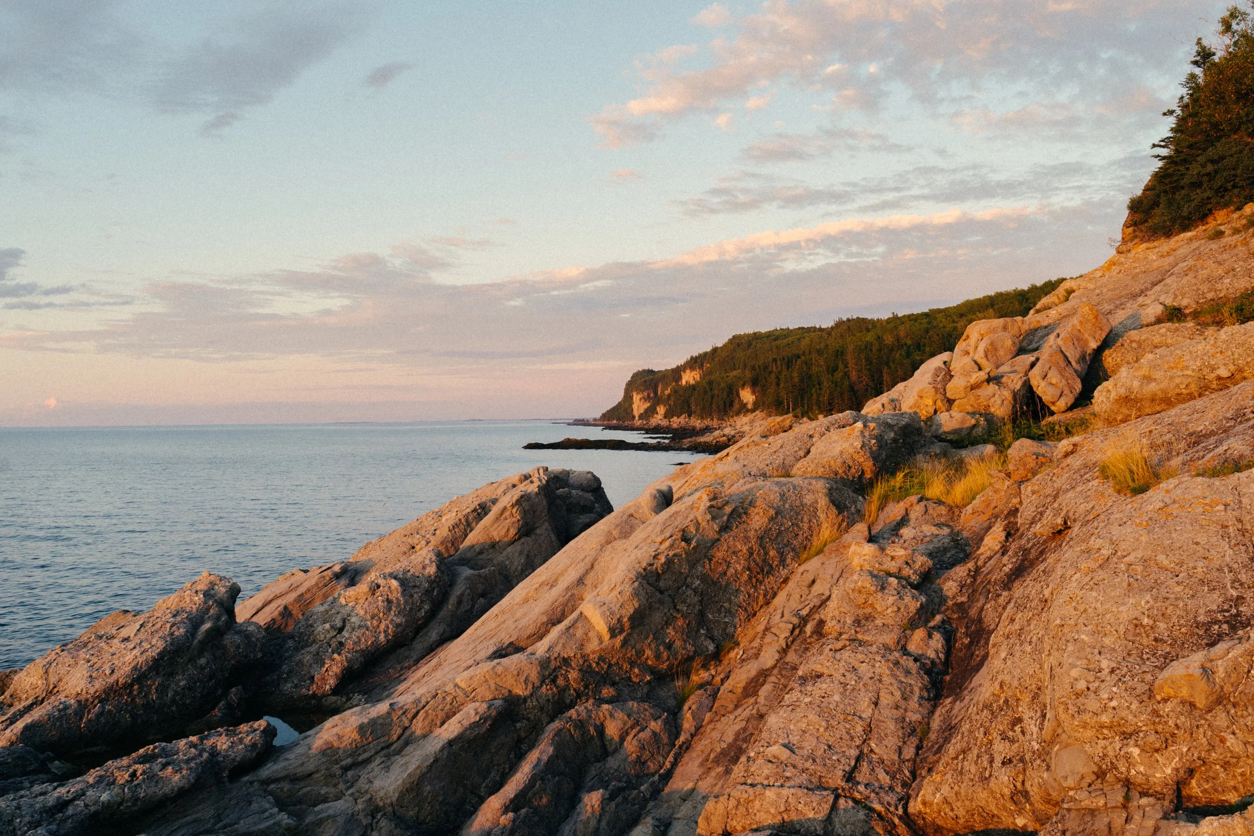 220810_VLM_Edit 2x3 (20).jpg