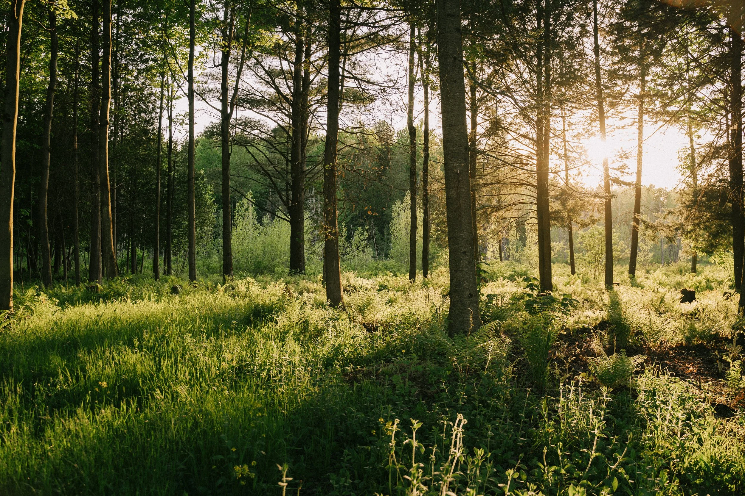 240520_GDO (351).jpg