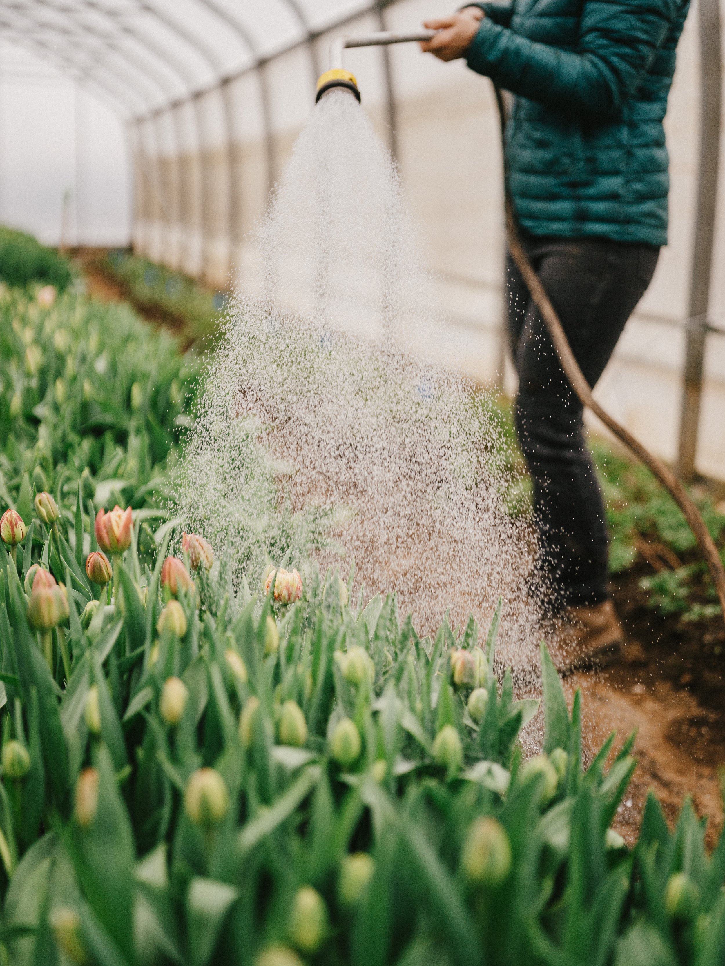 250418_Jardins ETC (543).jpg