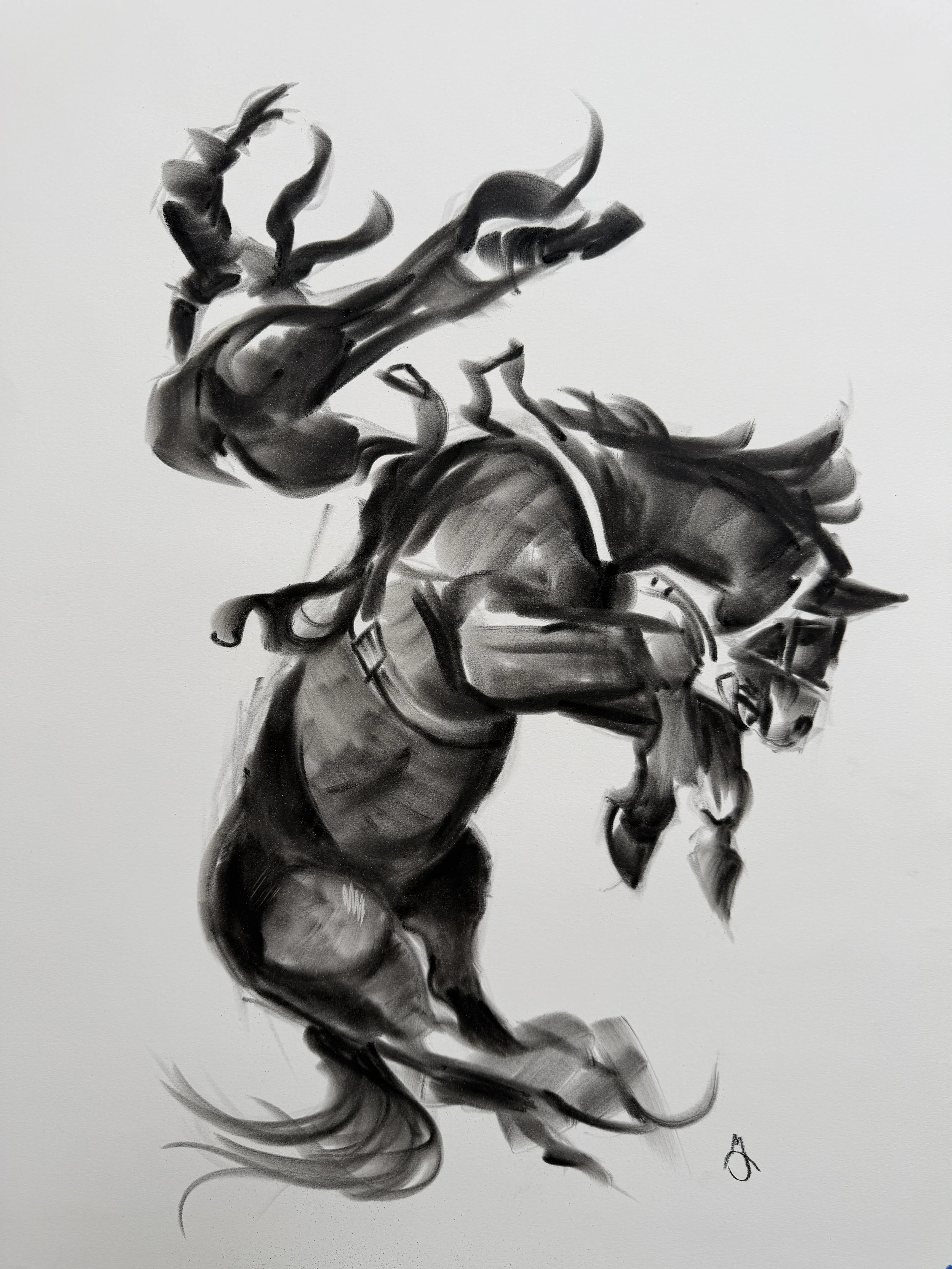 "There's Buck in This Bronc" 18'x24" Charcoal on paper