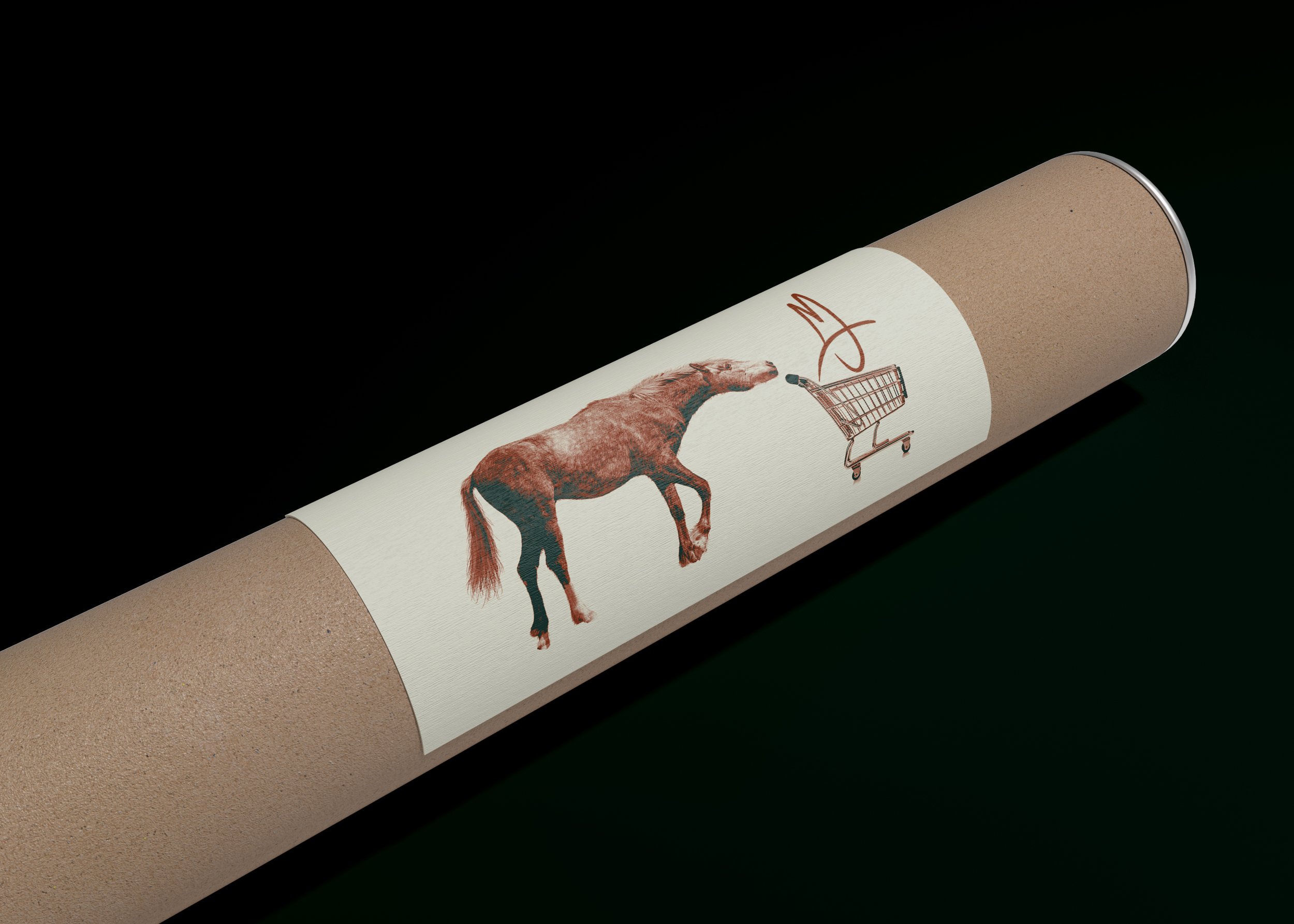 Jake-Braswell-Art-Tube-Mailer.jpg