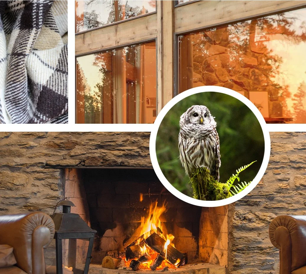 A cozy room with a stone fireplace lit with a fire, flanked by two brown leather armchairs. A wooden-framed window reflects trees and the sunset sky. A circular inset shows a white owl perched on mossy greenery for Hearthstone Senior Living branding.