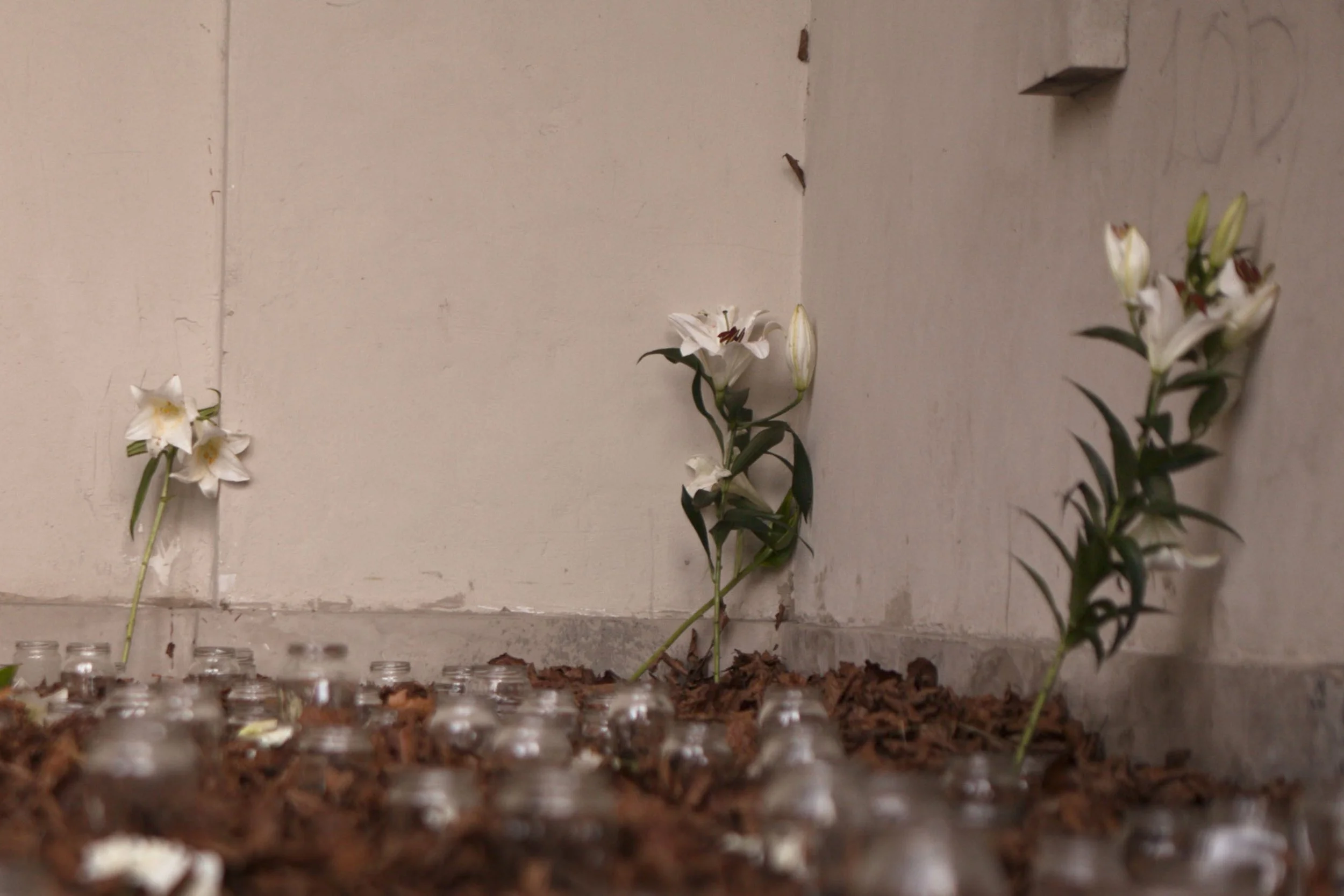 And They Tell Me - Event-13.jpg