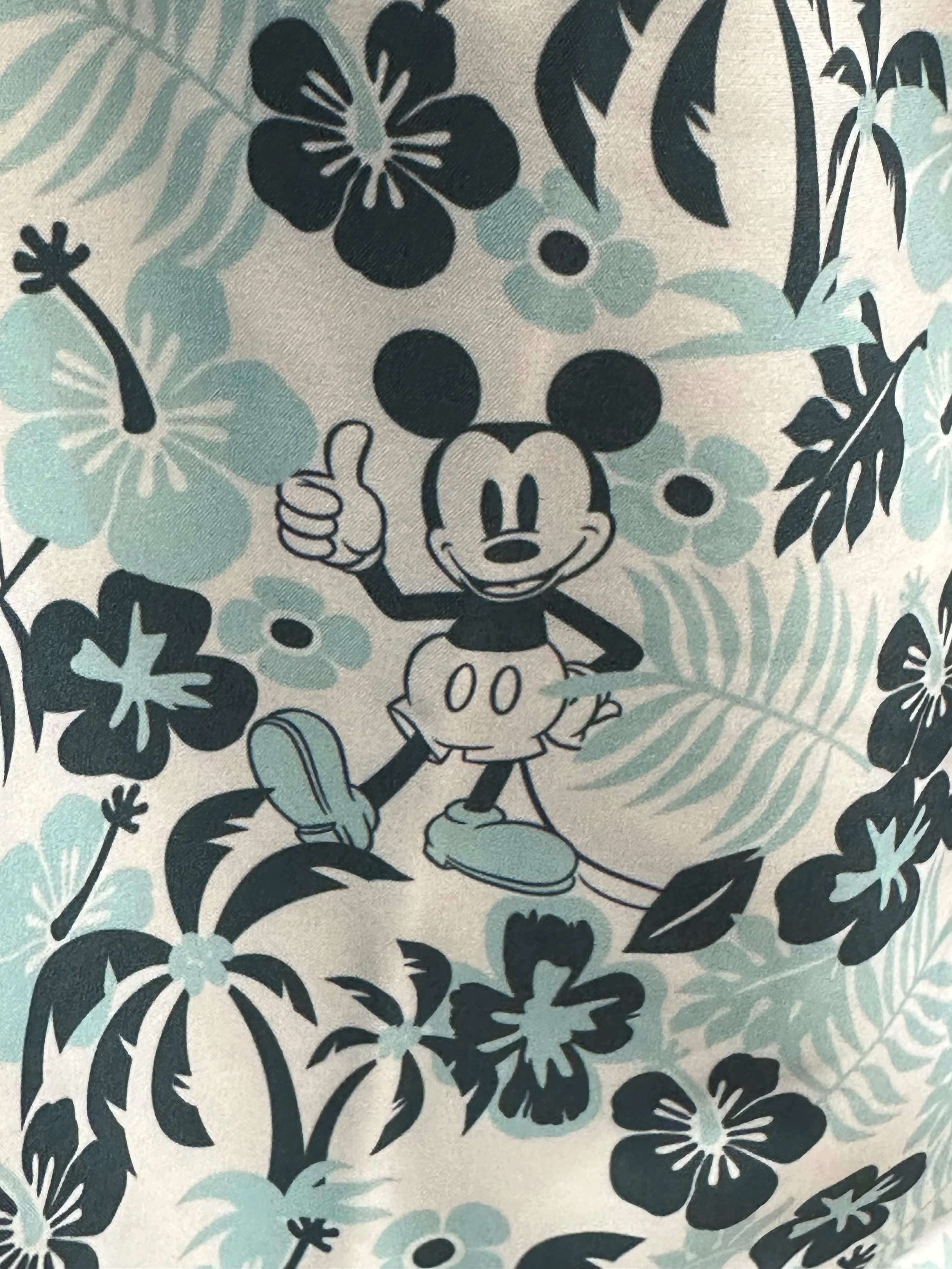 Disney Aloh 2.jpg