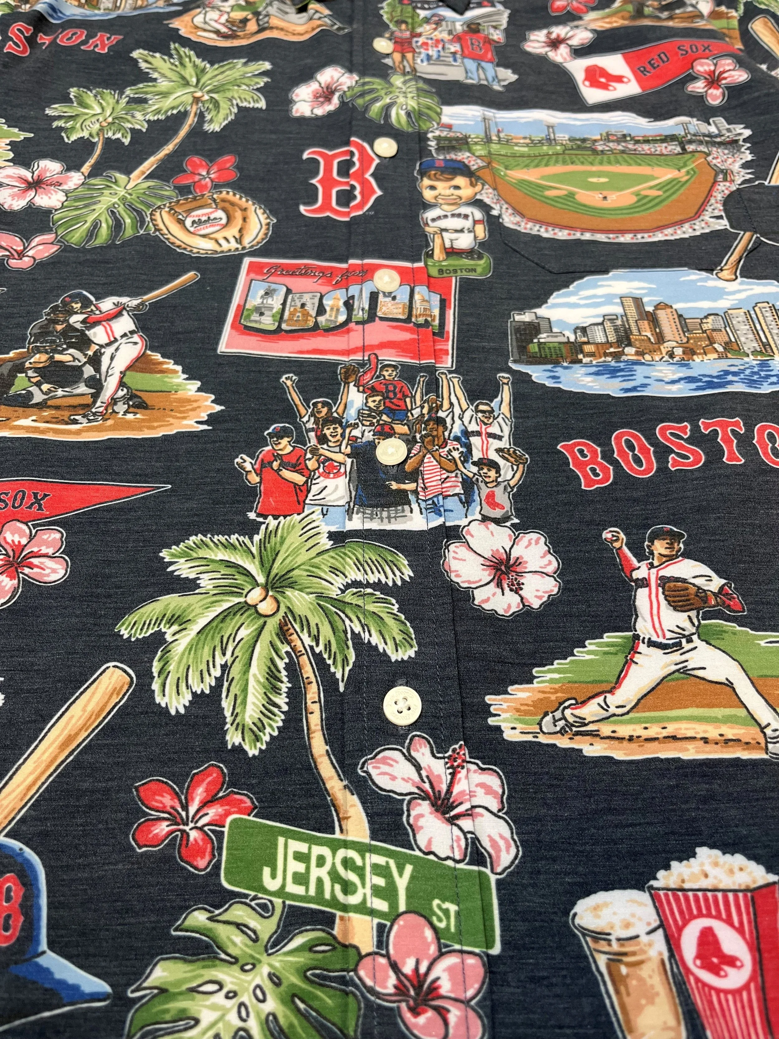 Red Sox Scenic.jpg