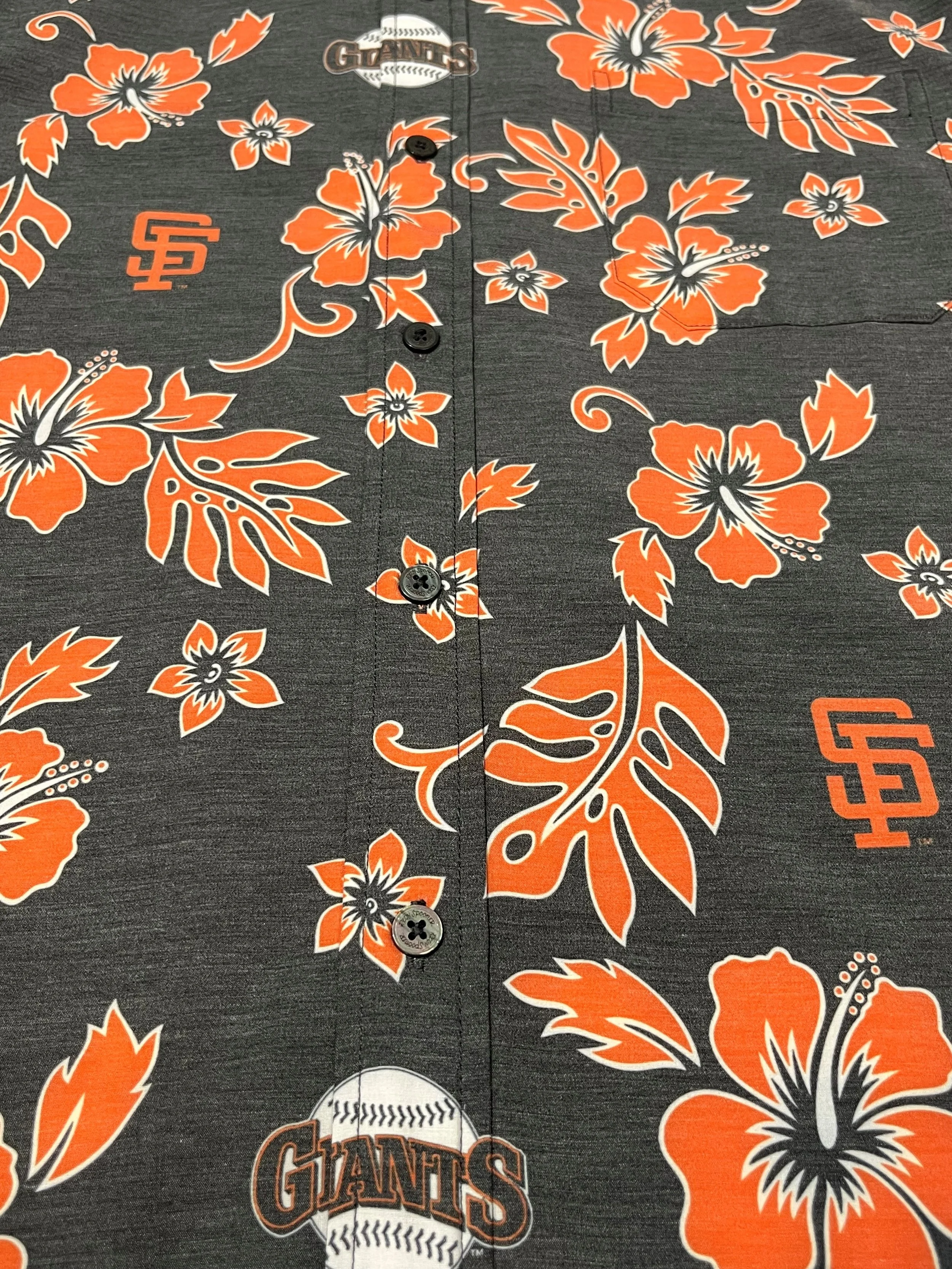 Giants Hibiscus.jpg