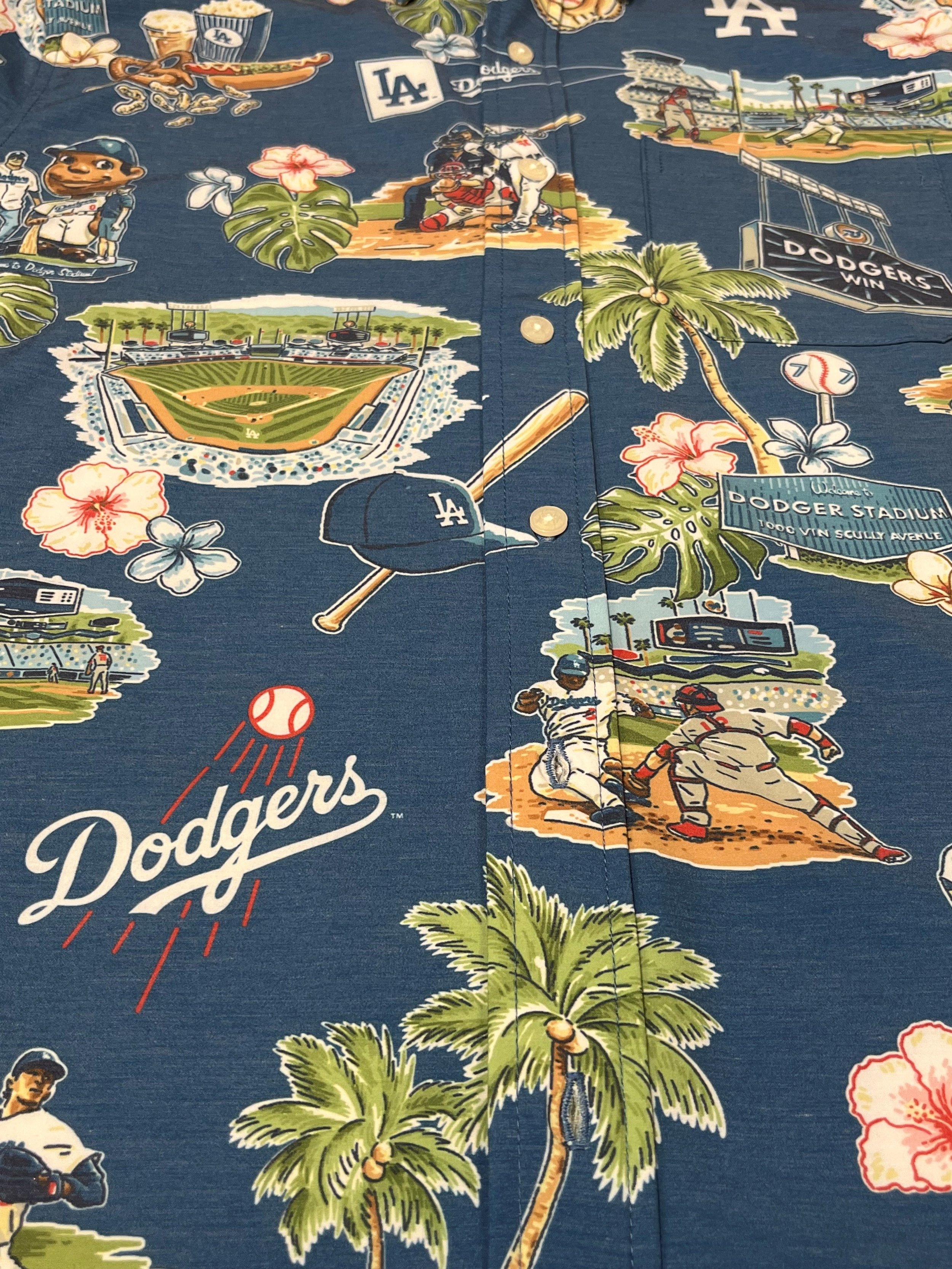 Dodgers Scenic.jpg
