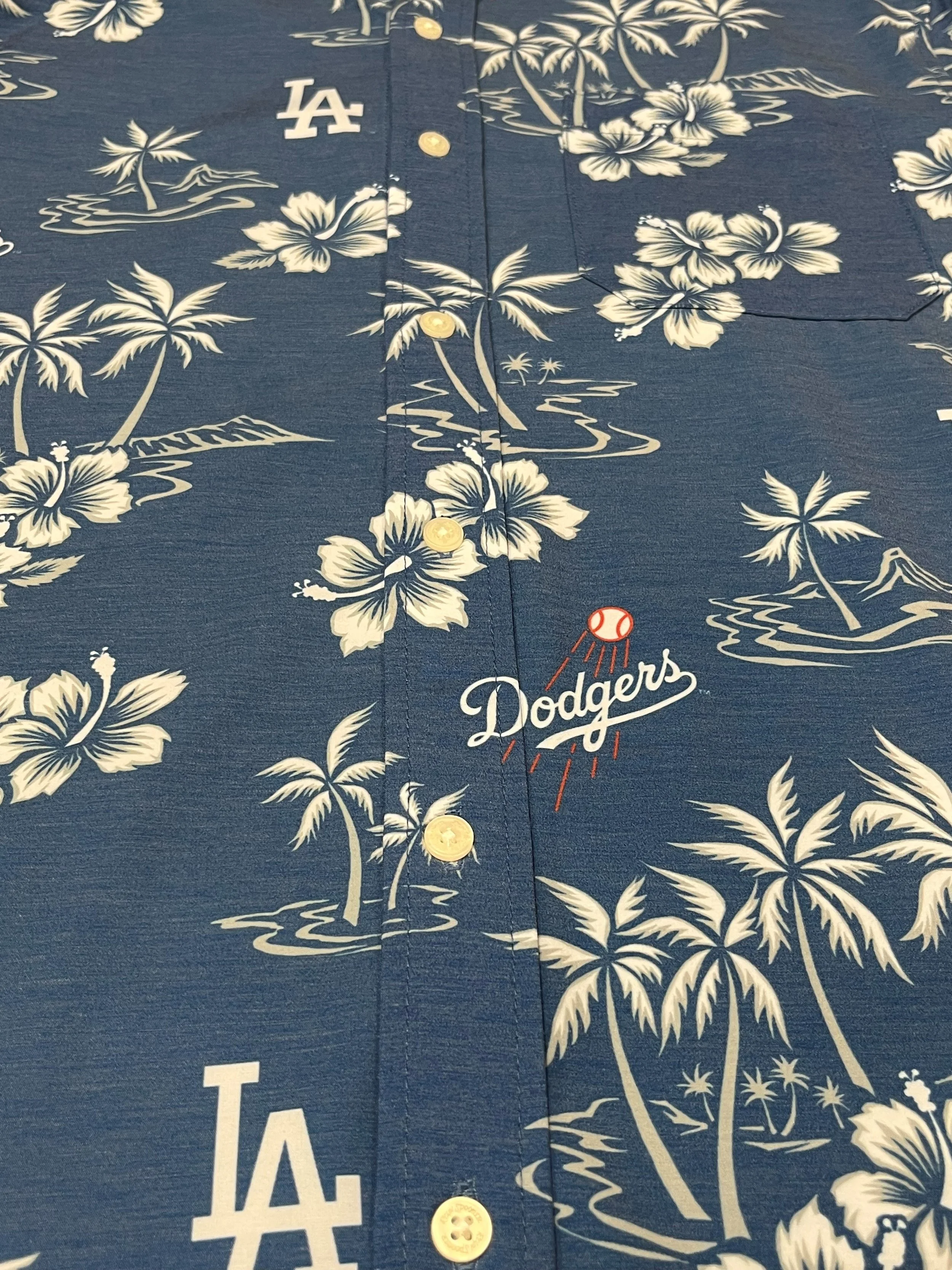 Dodgers Blue Palm.jpg