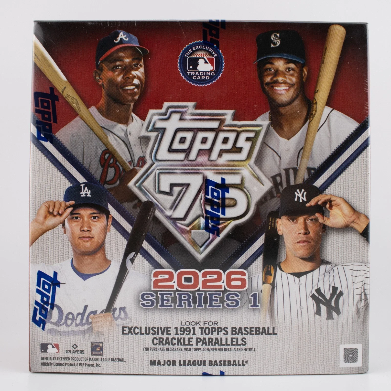 series 1  (2).webp
