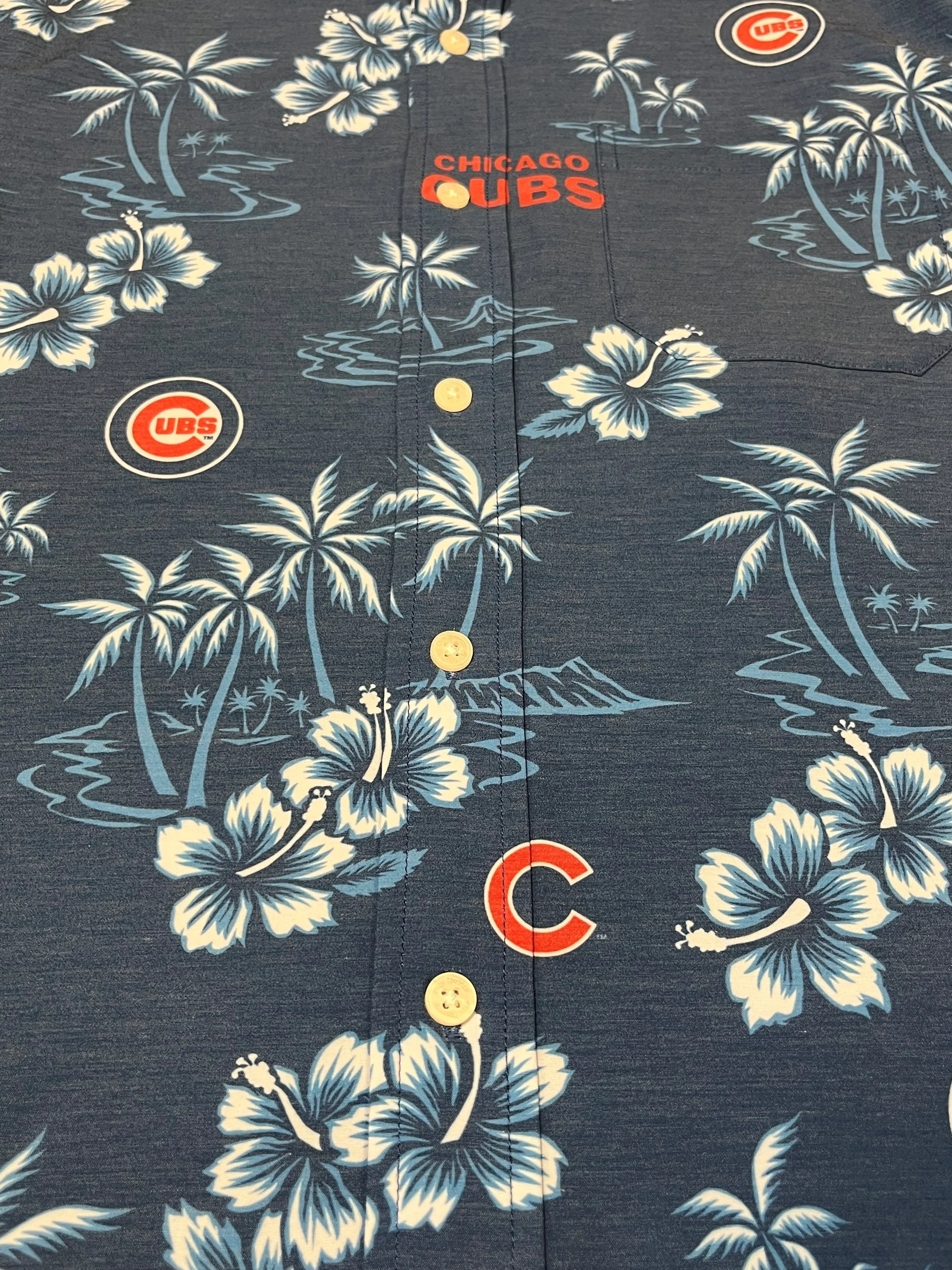 Cubs Palm.jpg