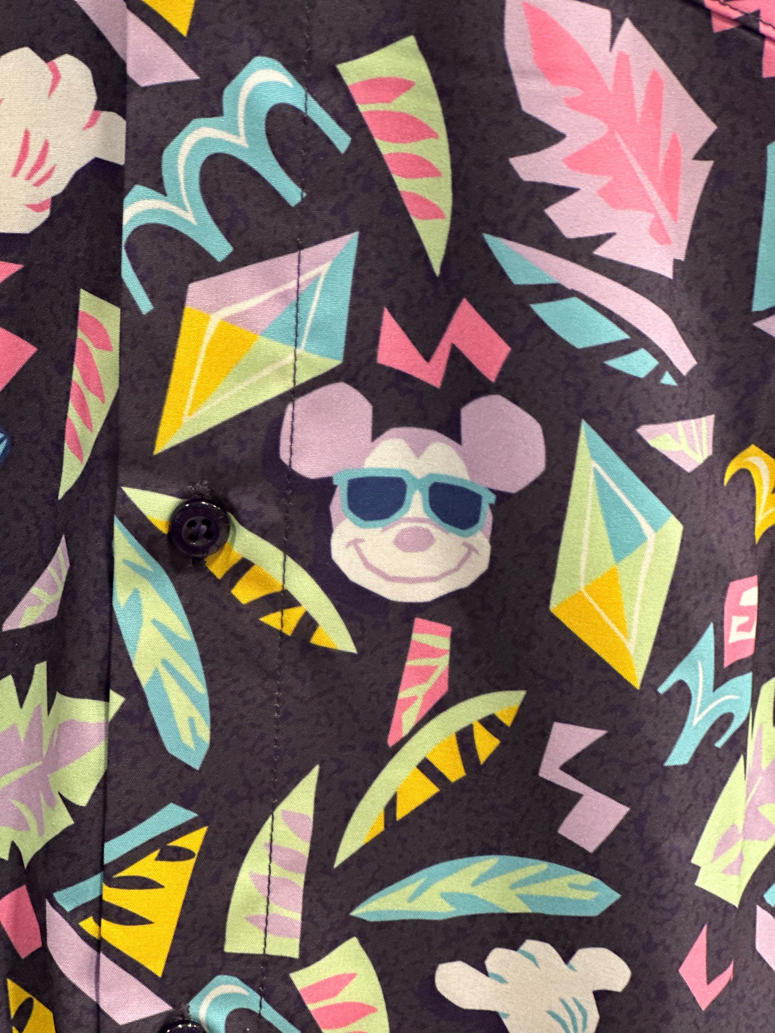 Disney Mickey Surf 1.jpg