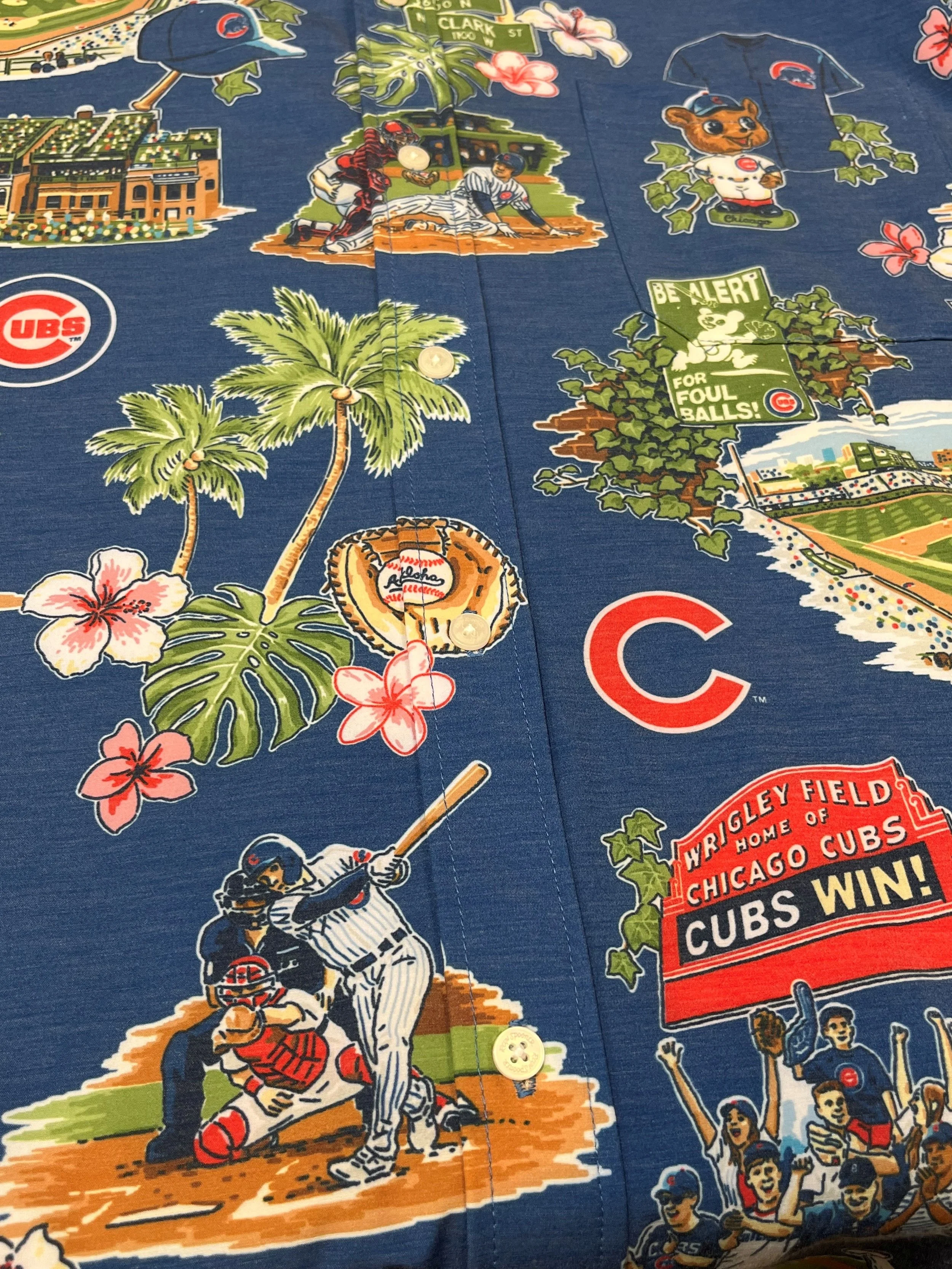 Cubs Scenic.jpg