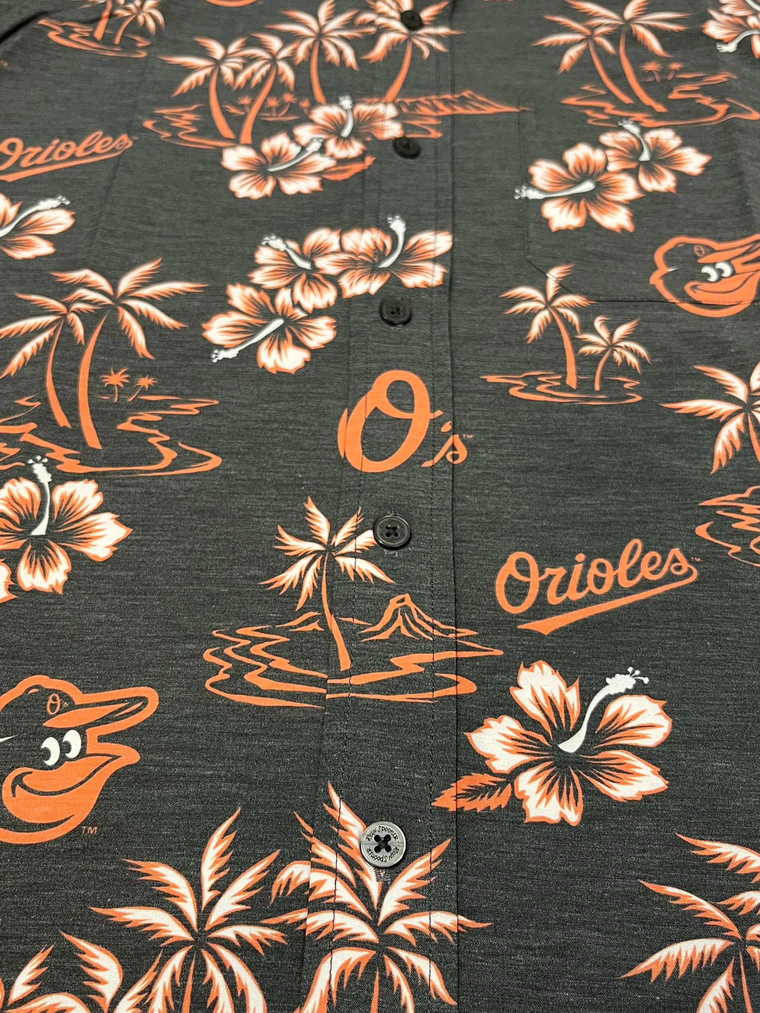 Orioles Palm.jpg