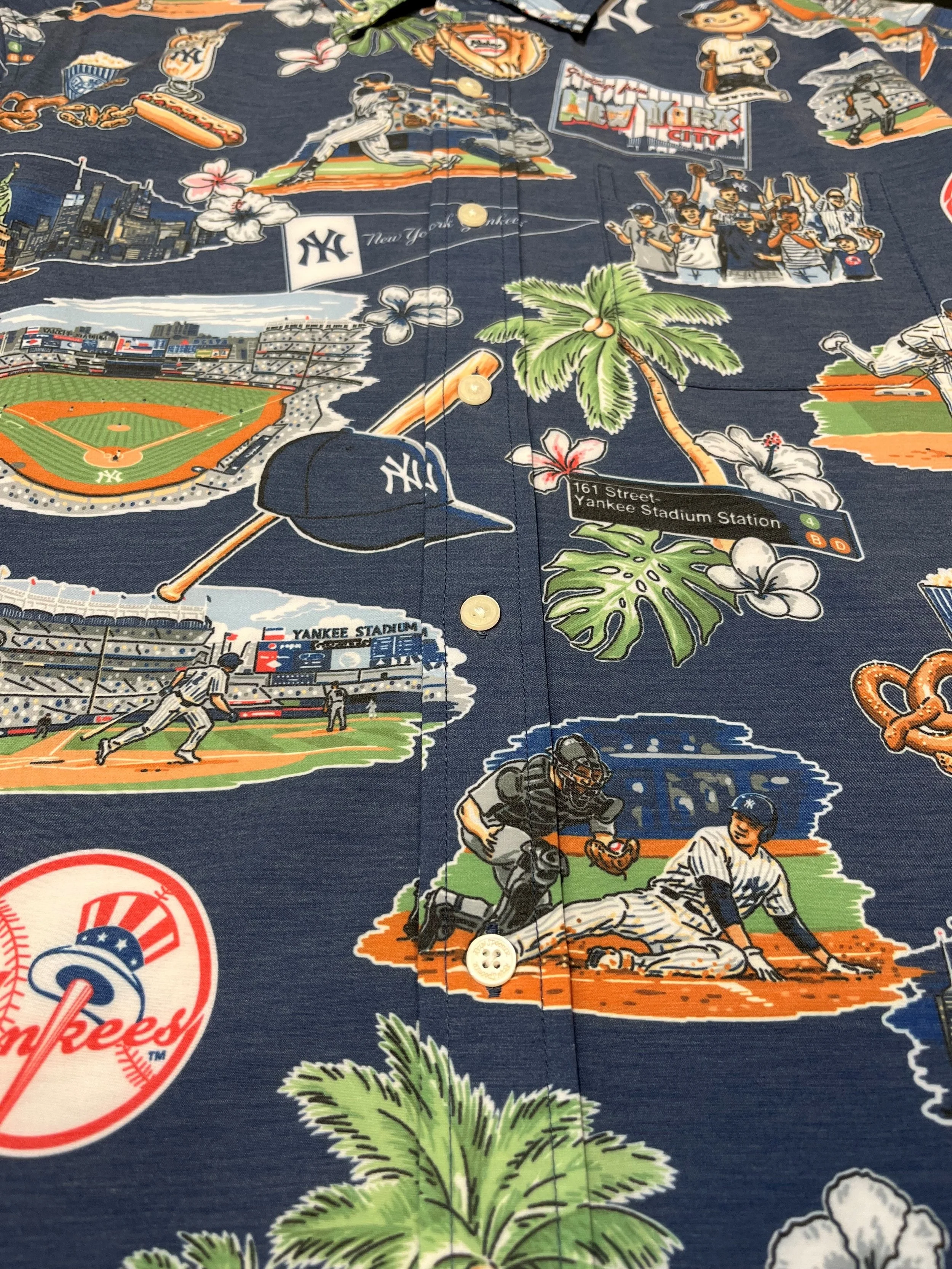NYY Scenic.jpg