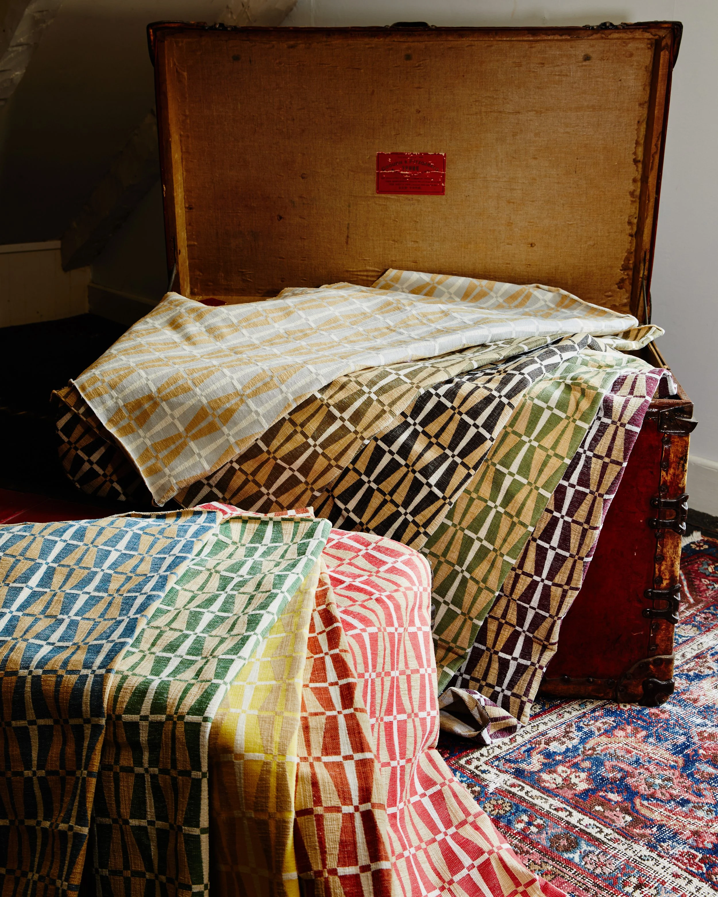 Copy of Shot06_Trunks_001 copy.jpg