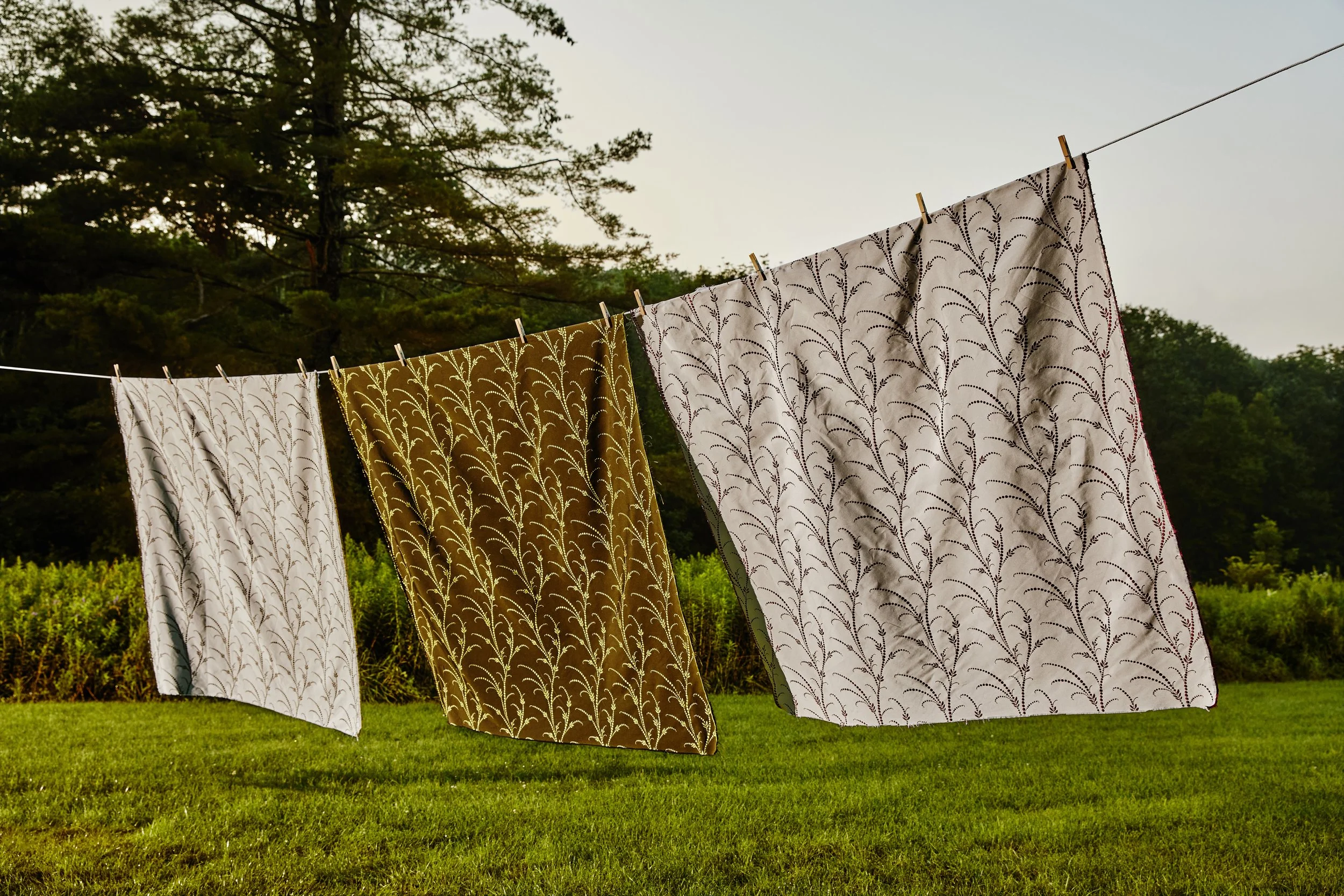 Shot07_ClothesLine_001 (1) copy.jpg