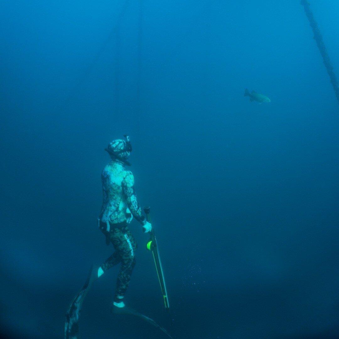 Michigan Spearfishing Spearfishing the Great Lakes