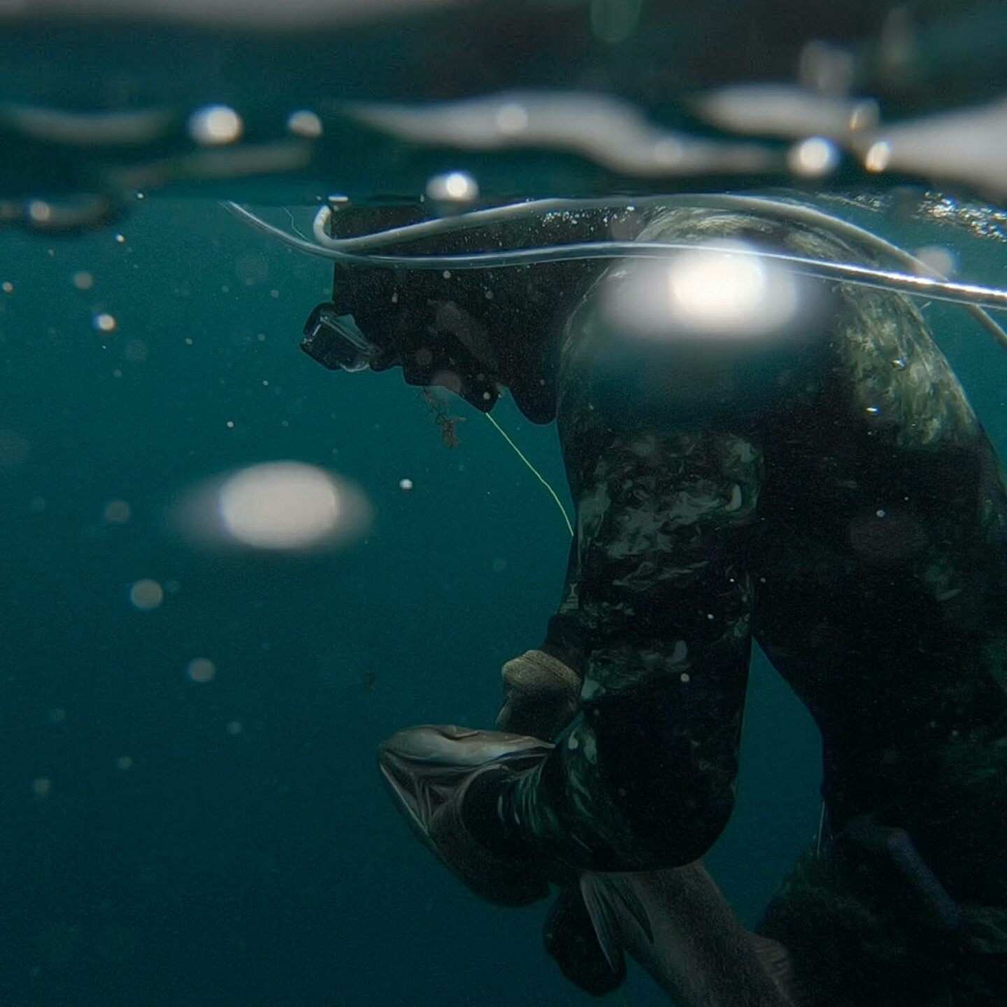 Michigan Spearfishing Spearfishing the Great Lakes