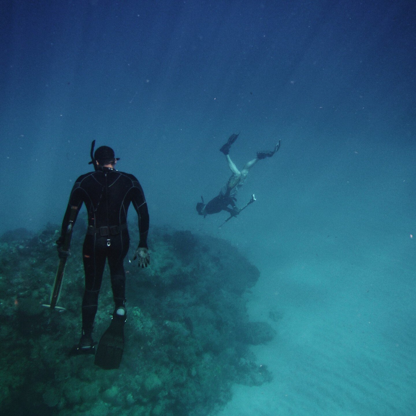 Michigan Spearfishing Spearfishing the Great Lakes
