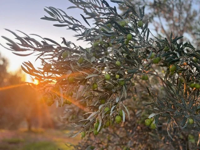 Harvest Eve: Where Work Meets Wonder