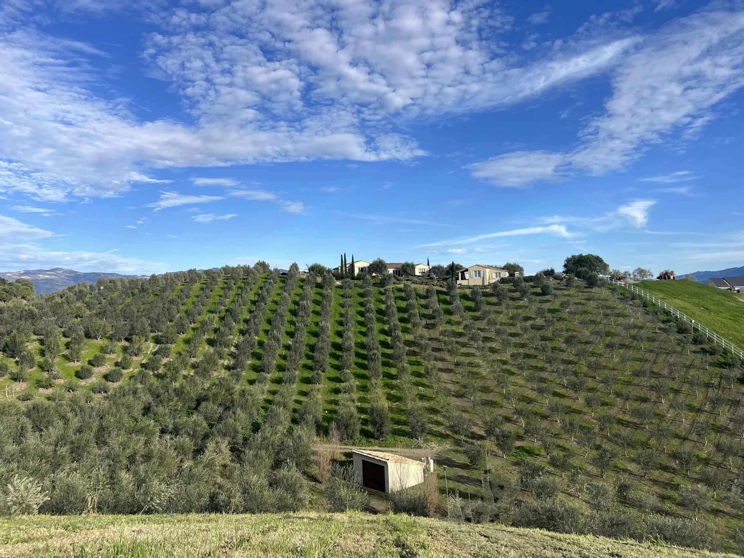 January at Luretik: Finding beauty in the slow months