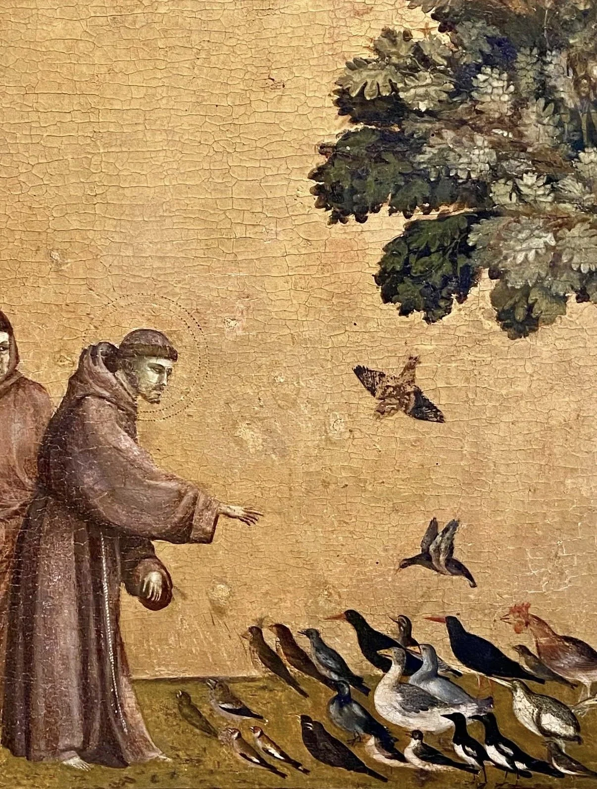 On Springtime and The Garden of St. Francis