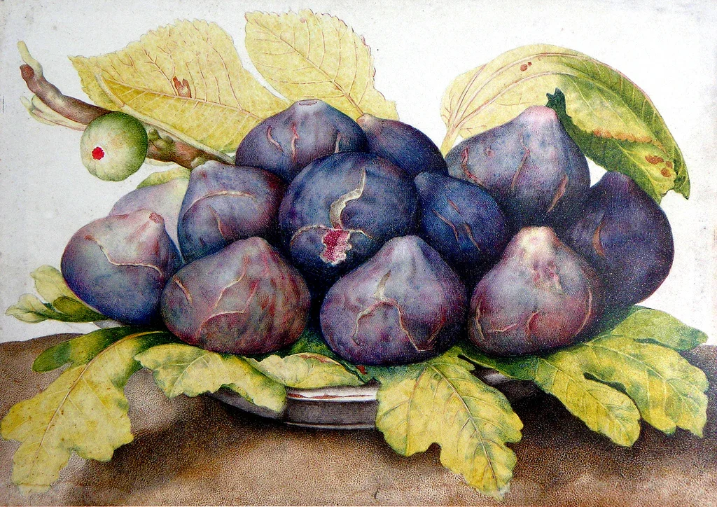 The Art of Antipasti: A Summer Tradition Worth Reviving