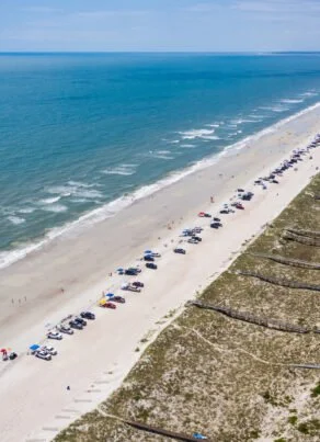 Amelia Island (Copy)