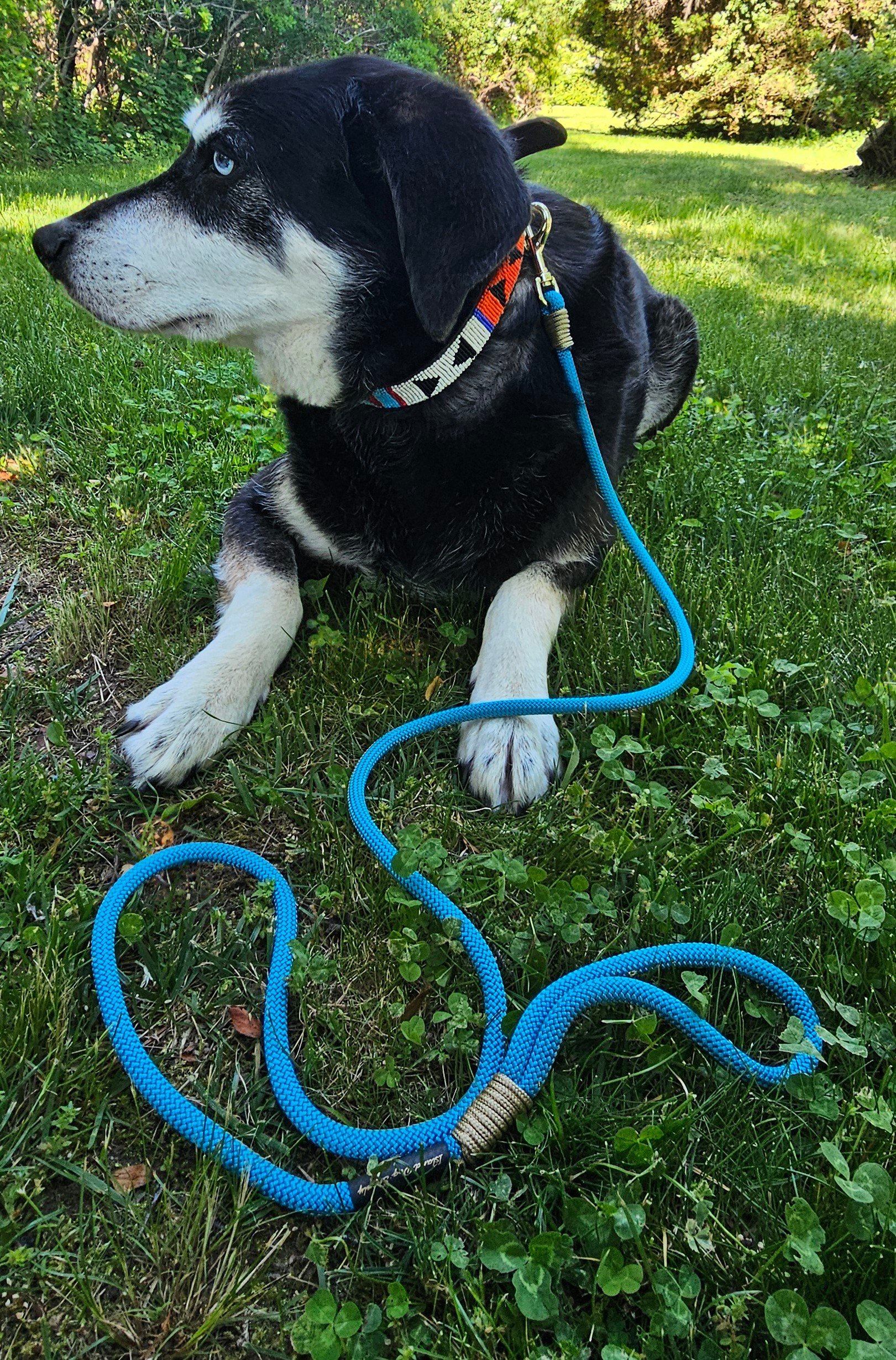 Ice Blue Clip Kiro.jpg