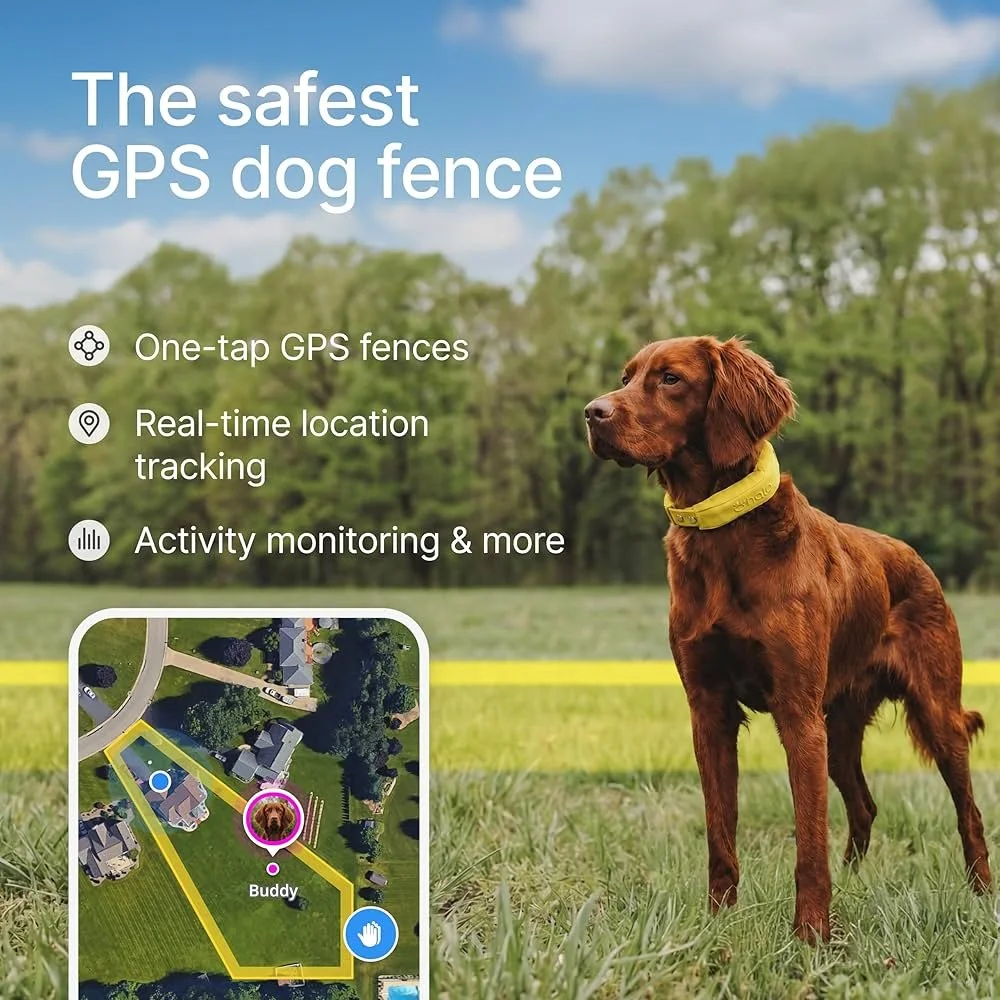 Electric Fence