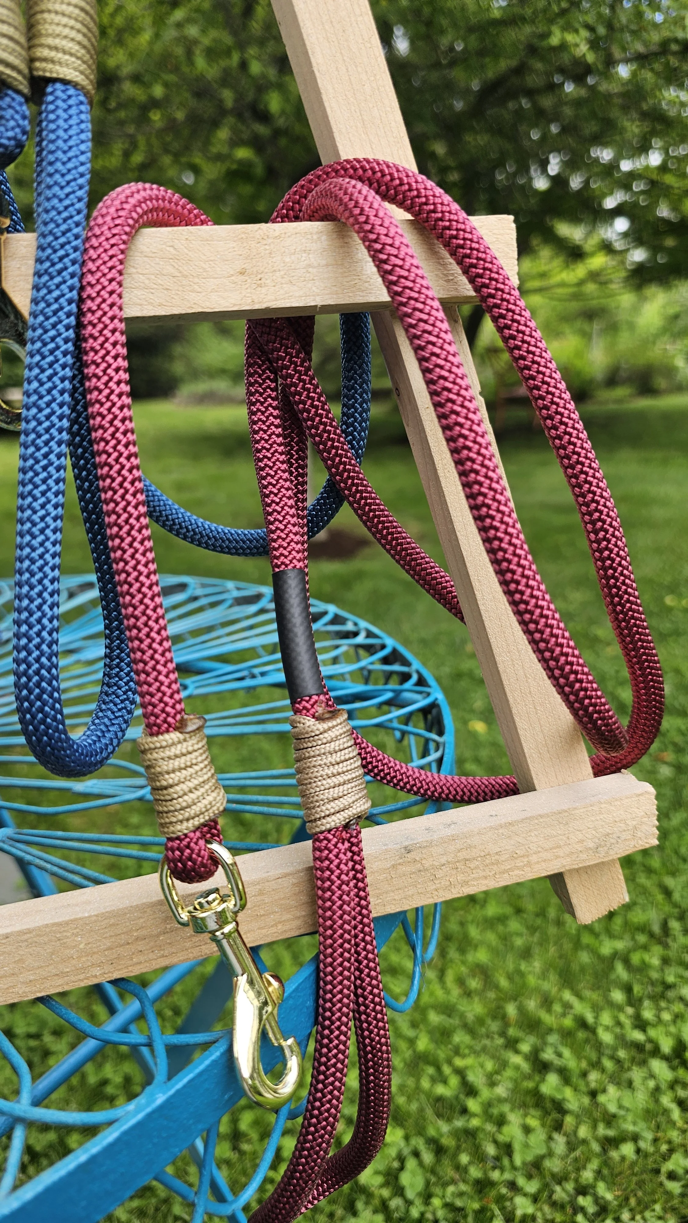 Pink Clip.jpg