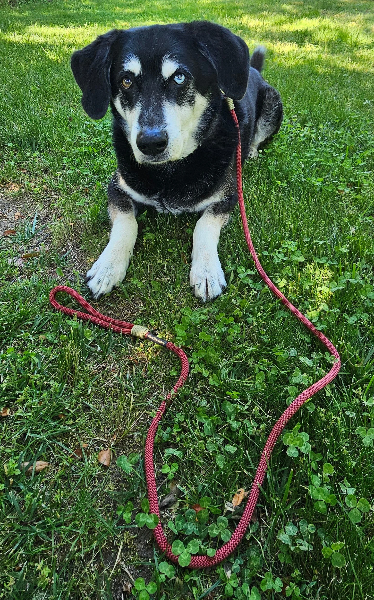 Red Clip Kiro.jpg