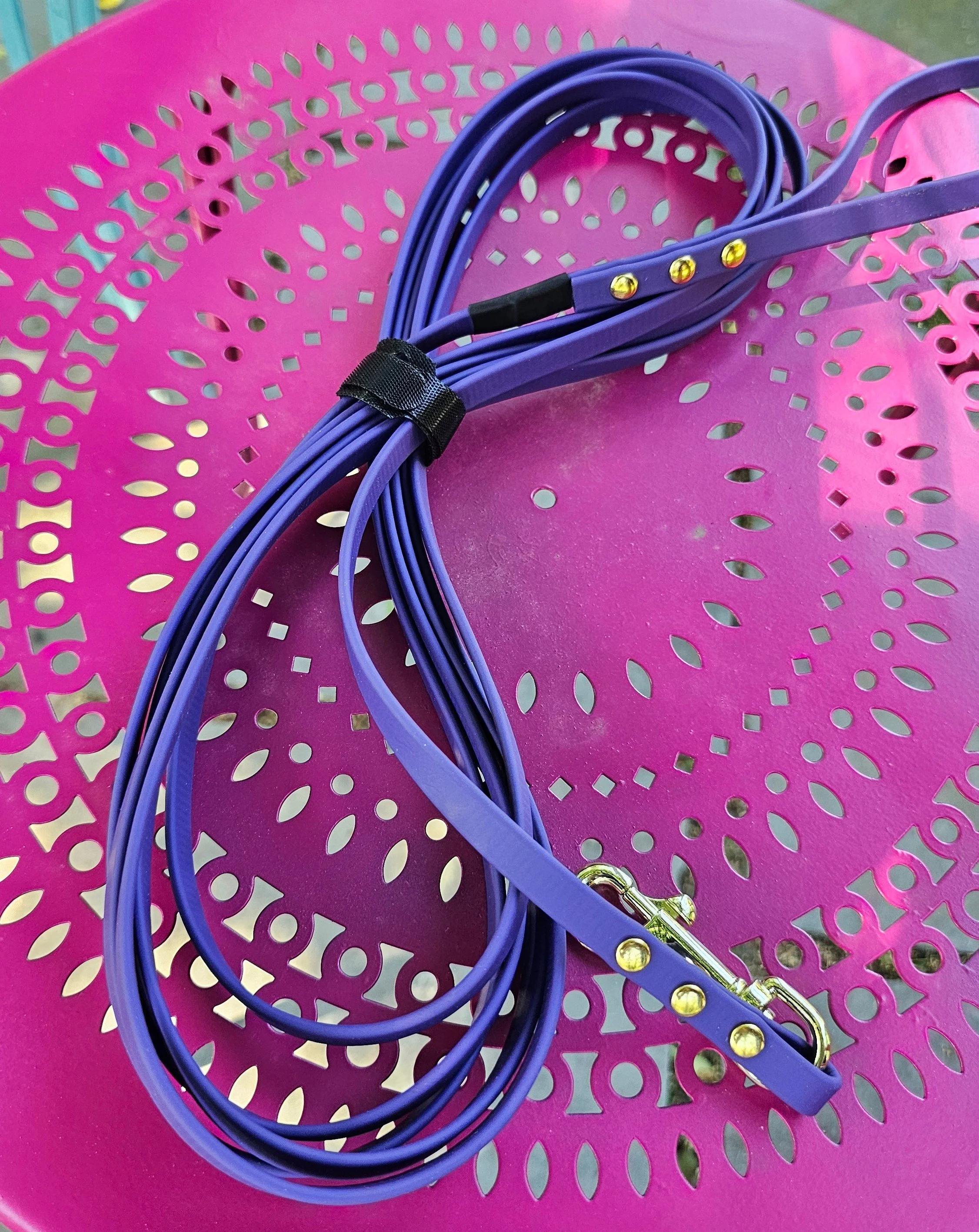 Purple Biothane.jpg