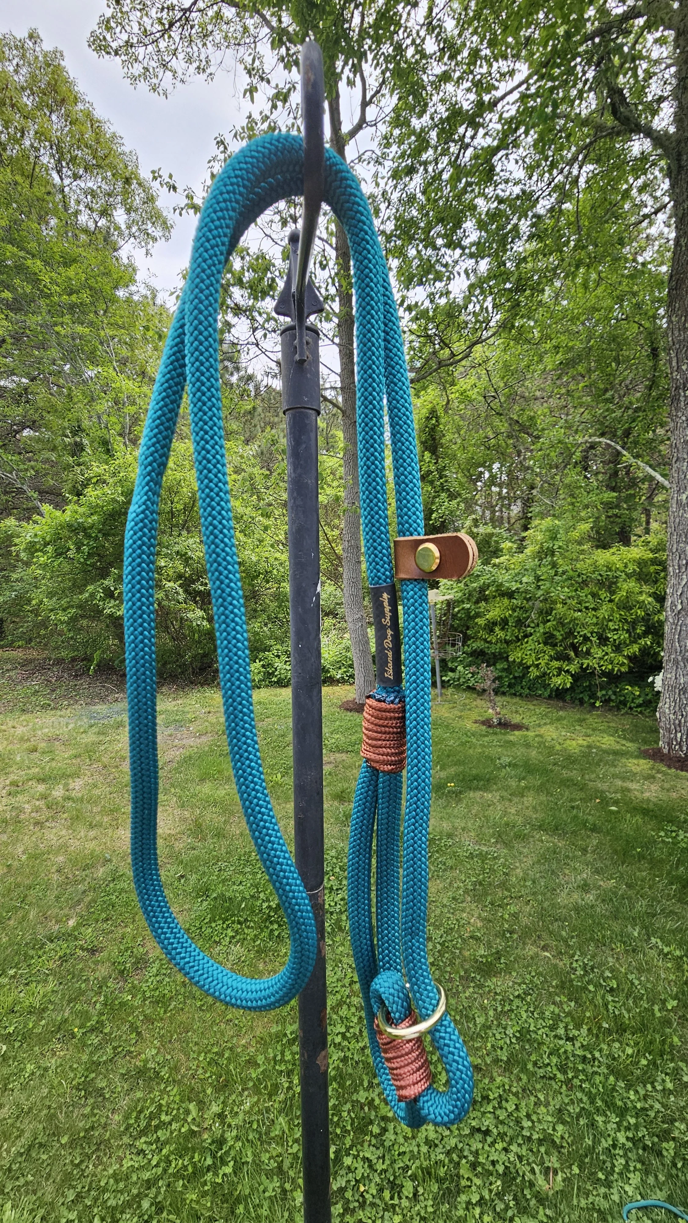 Teal Slip.jpg