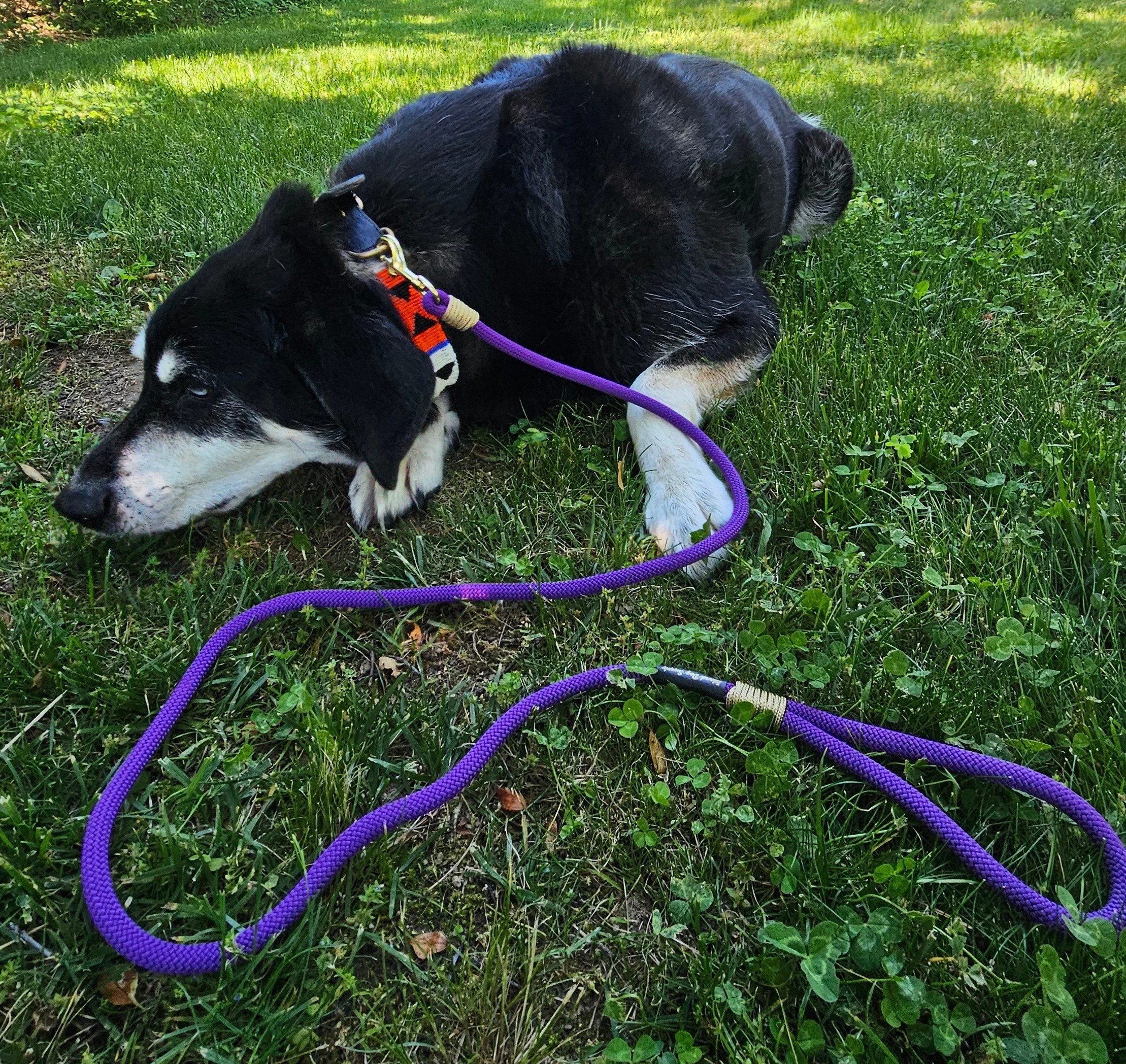Purple Clip Kiro.jpg