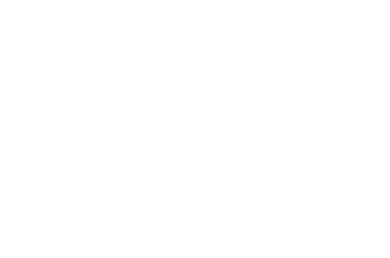 Company logo image Footer