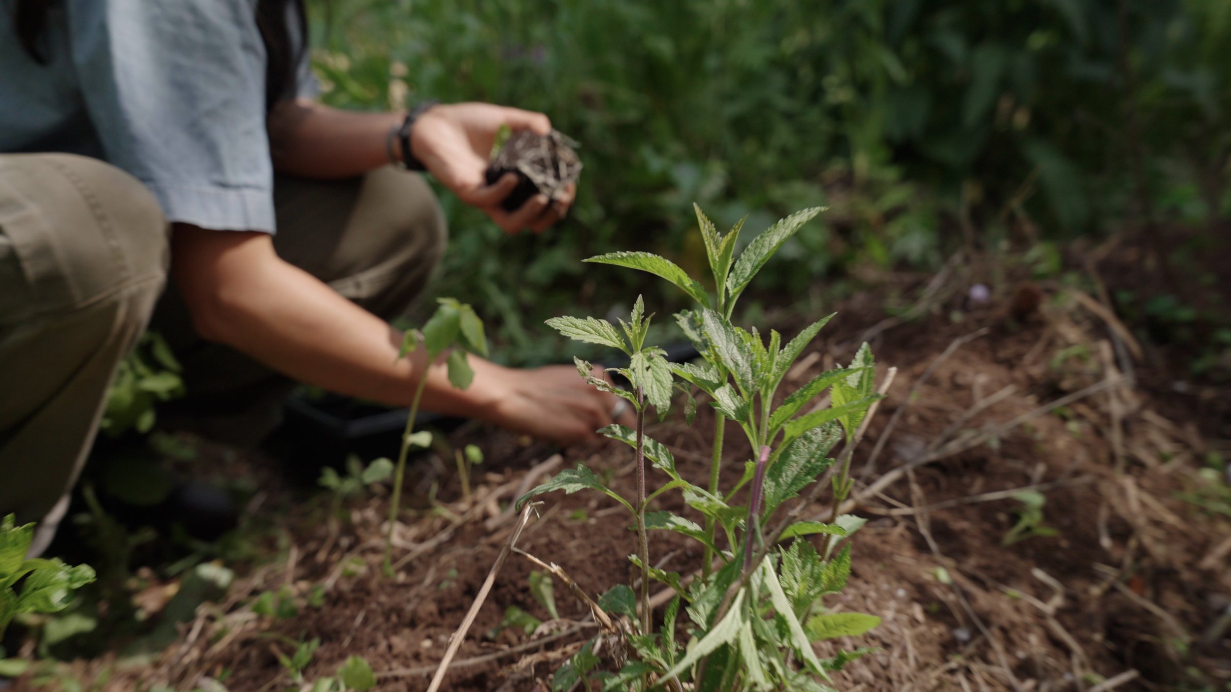 Land Tending Gathering