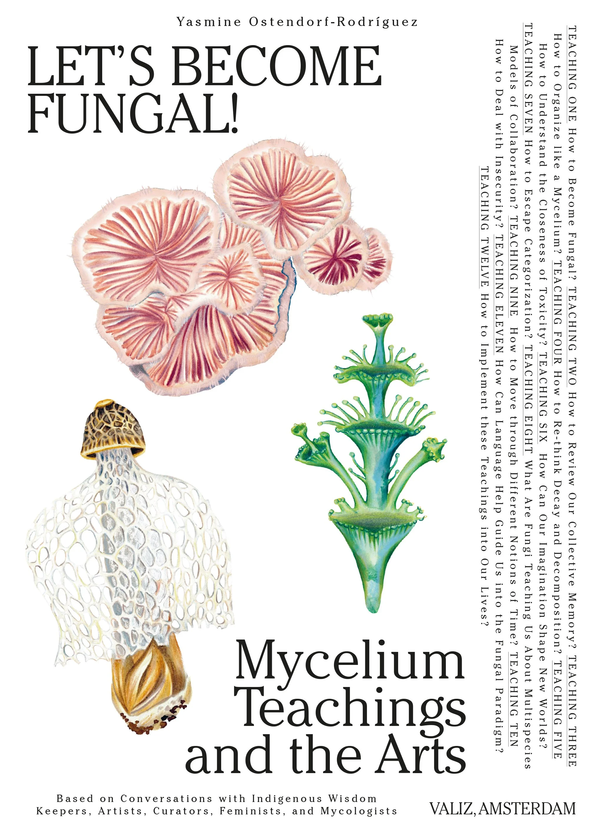 Mycelium as Methodolgy