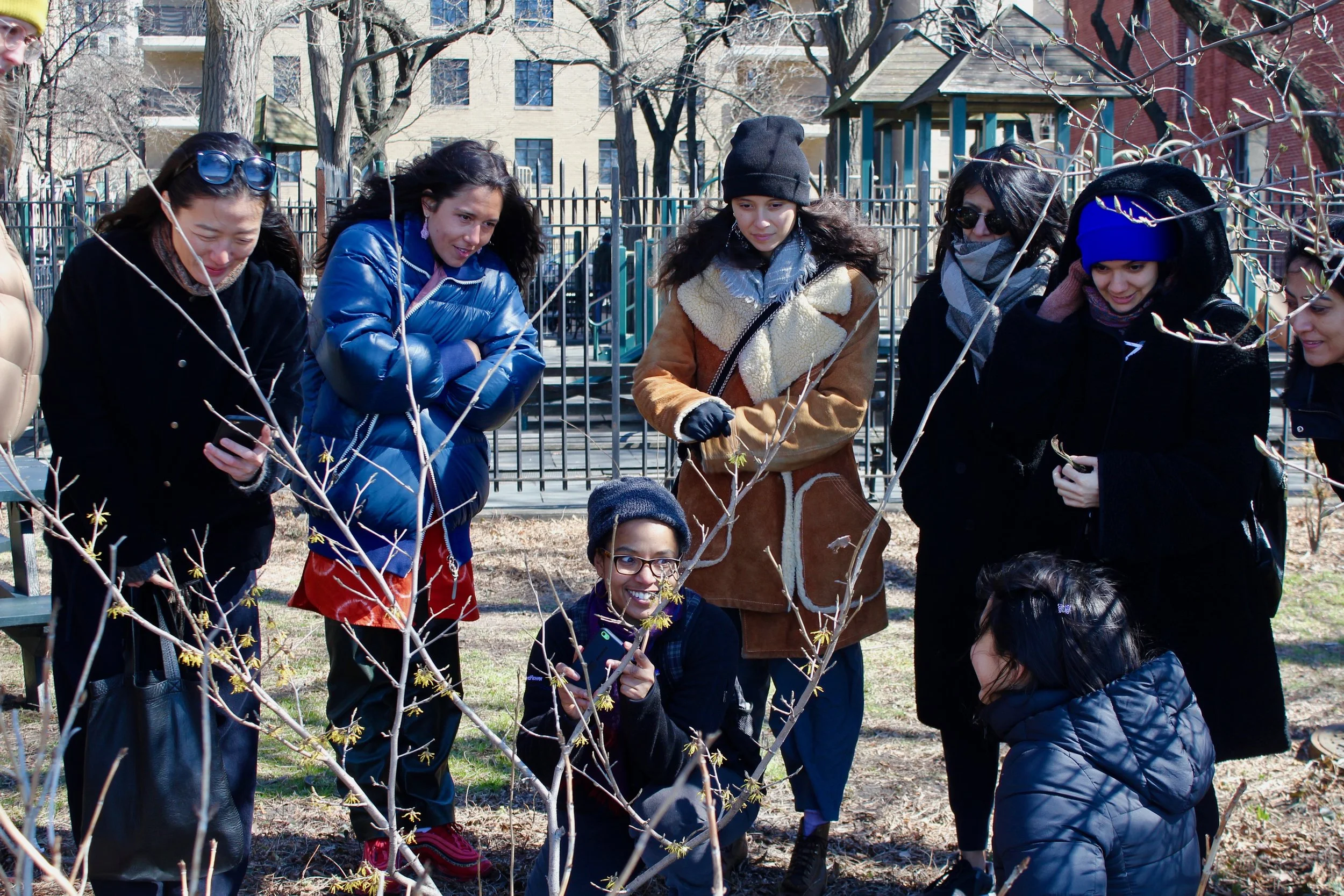 Spring Plant Walk and Wonder 