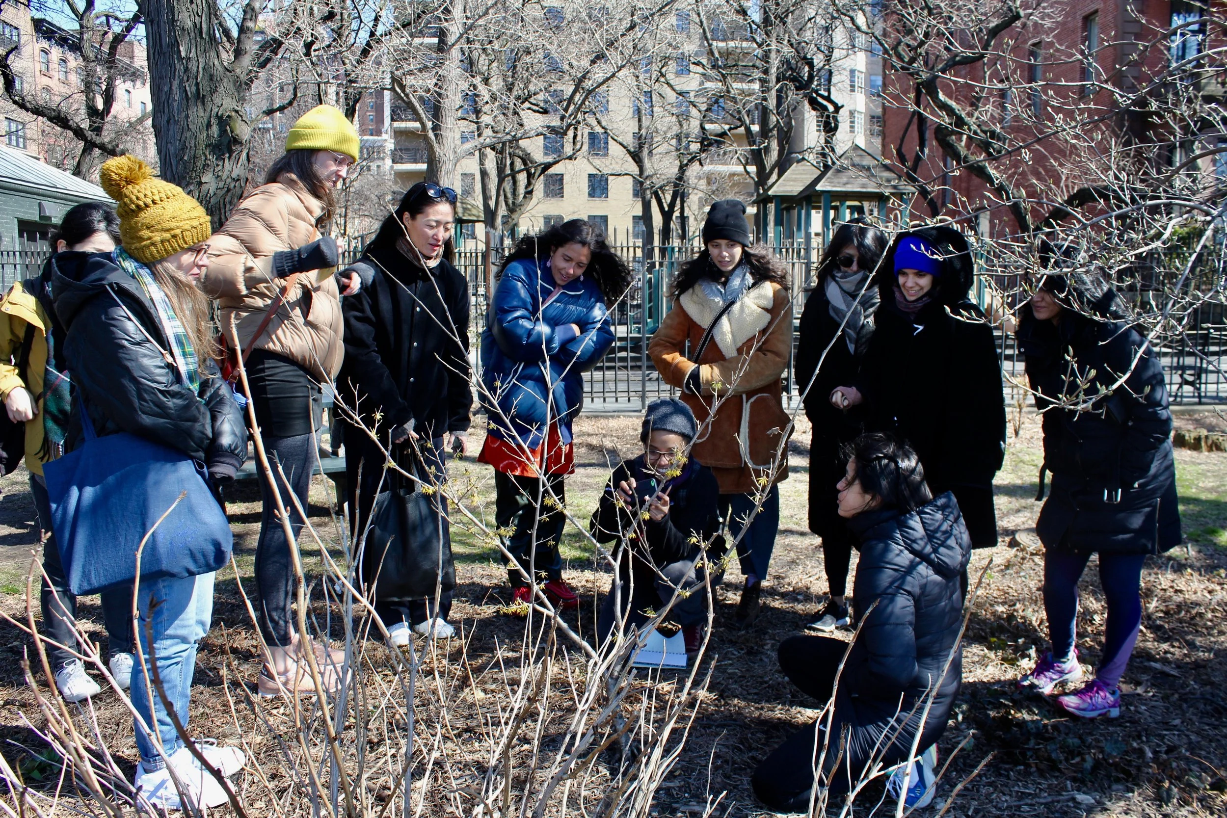 Spring Plant Walk and Wonder